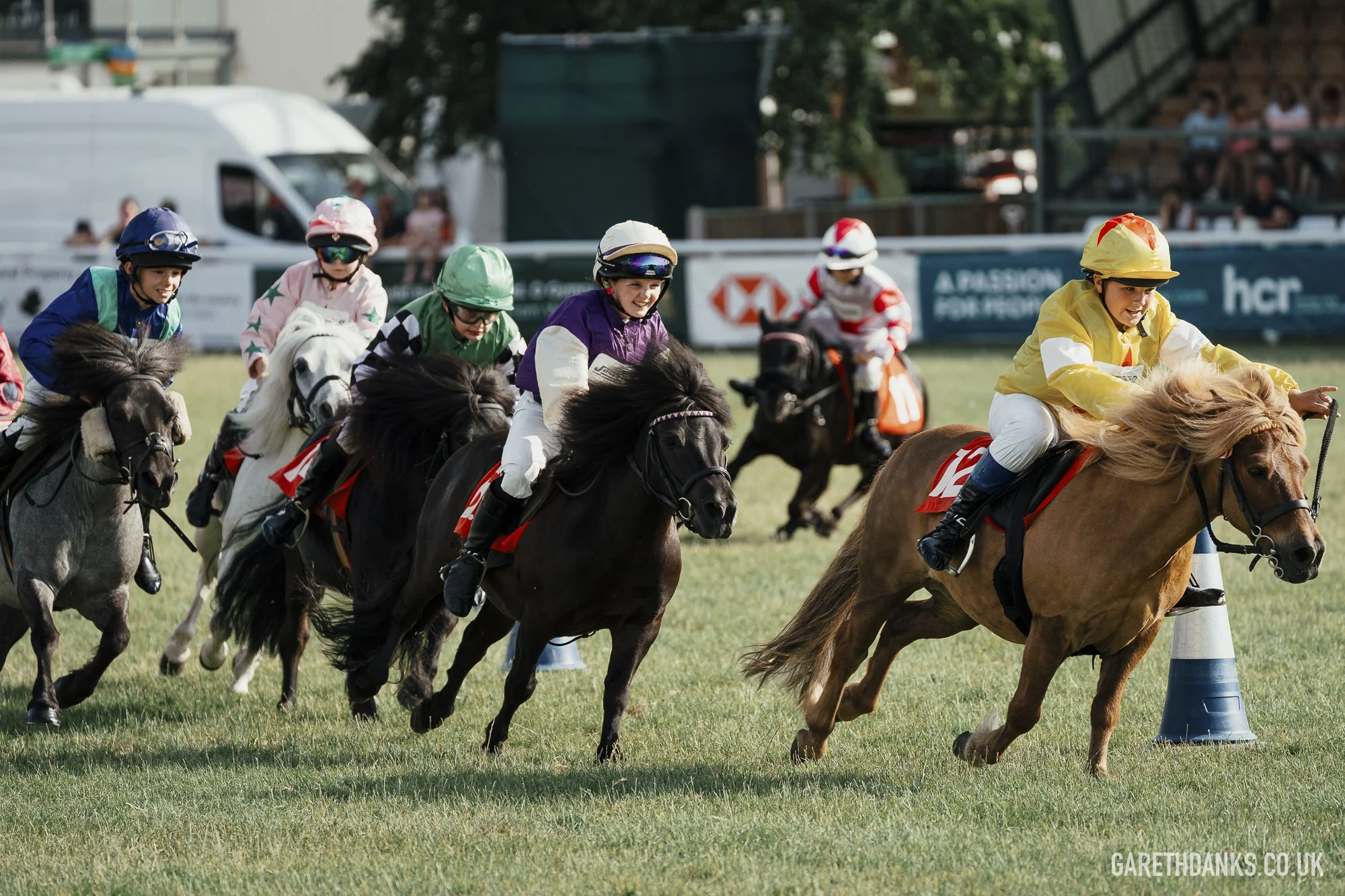 Royal Welsh Show 2026 photography _A7_7330.jpg