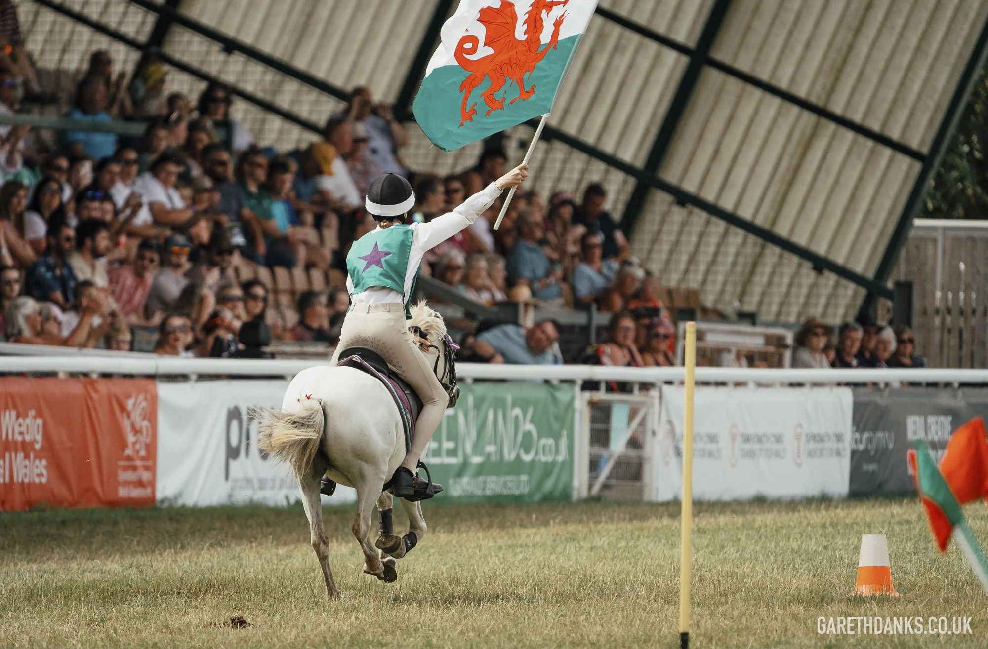 Royal Welsh Show 2026 photography _A7_7133.jpg