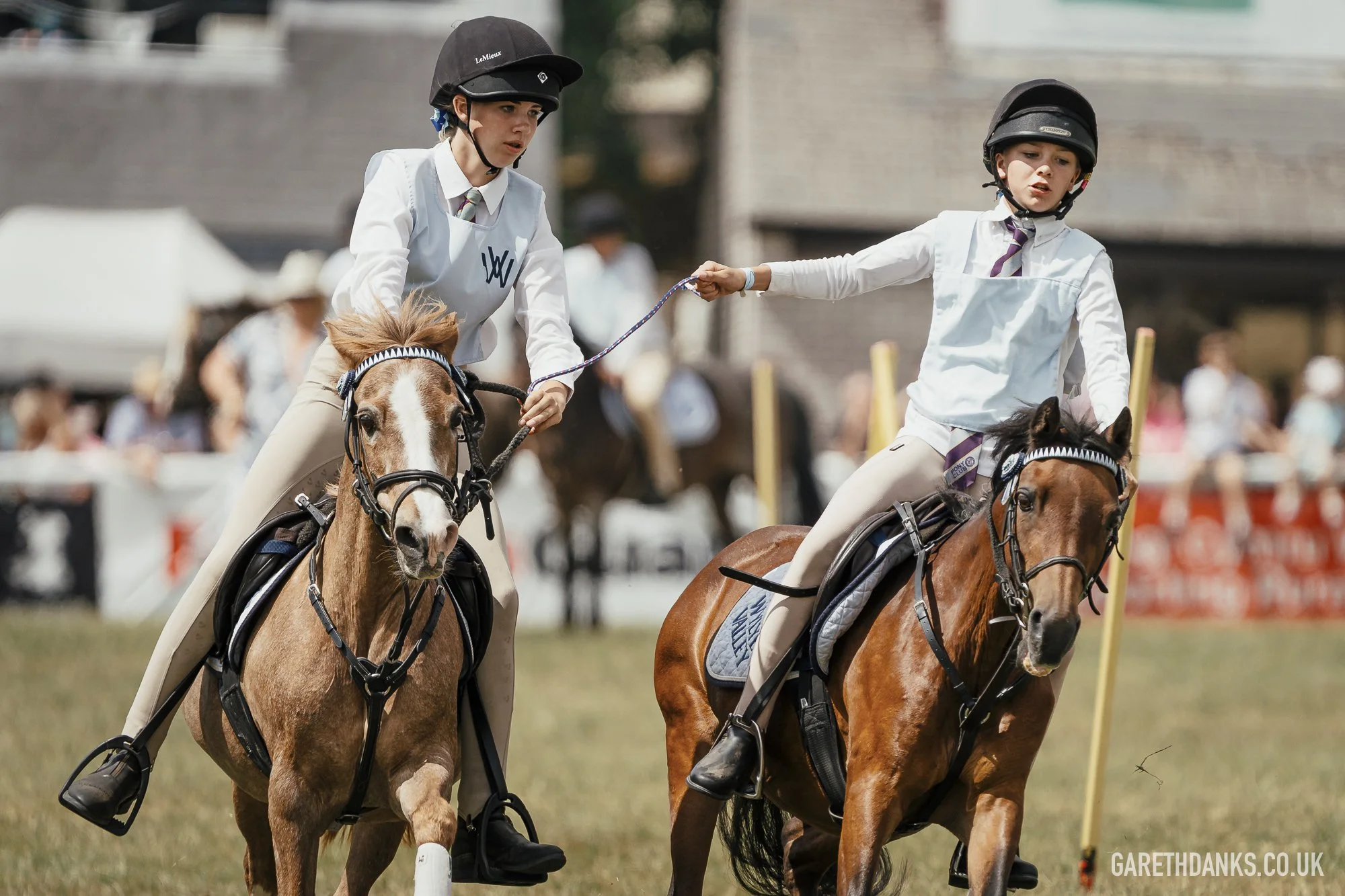 Royal Welsh Show 2026 photography _A7_6868.jpg