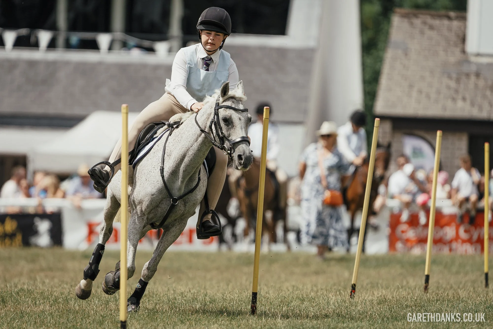 Royal Welsh Show 2026 photography _A7_6824.jpg