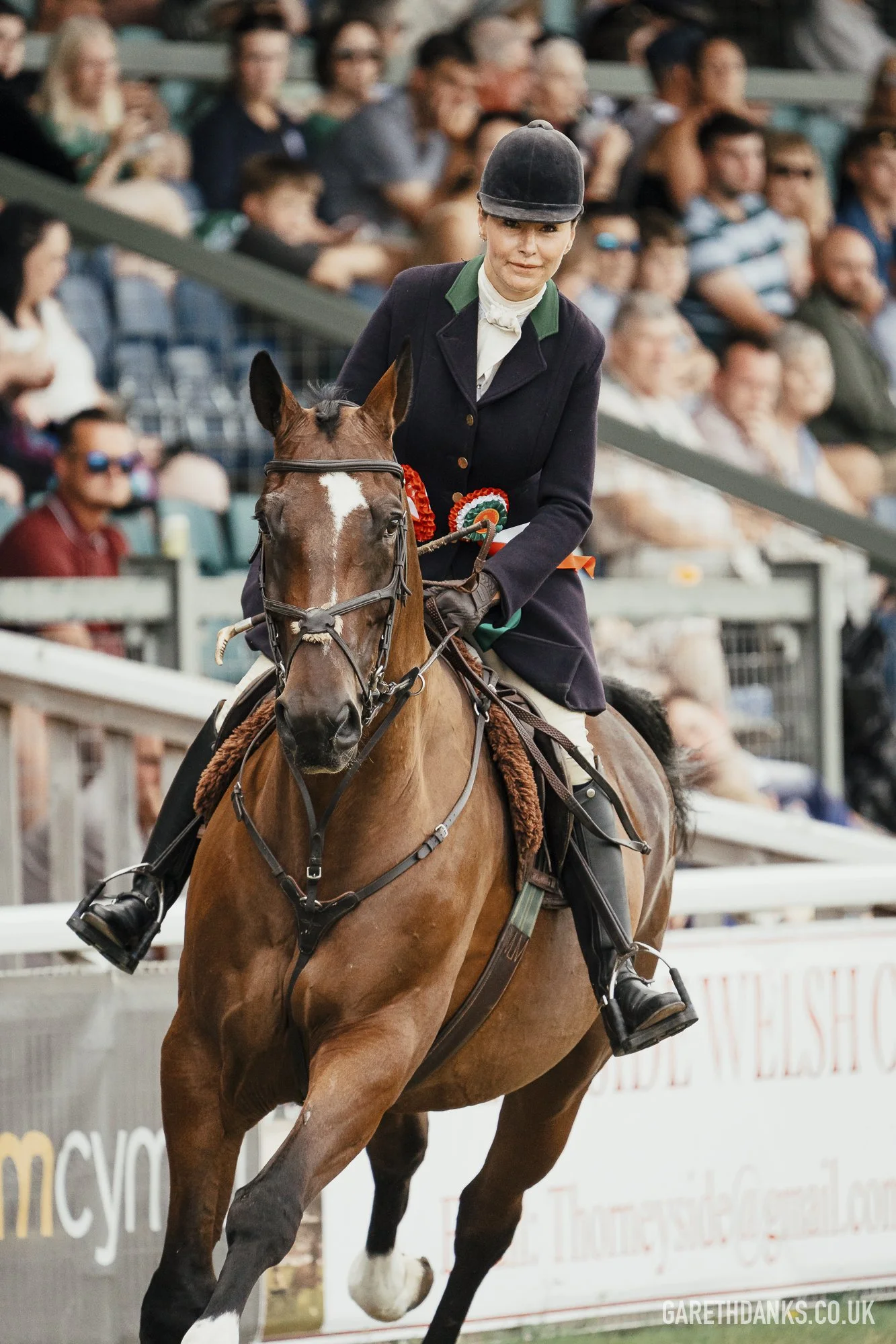 Royal Welsh Show 2026 photography _A7_7226.jpg
