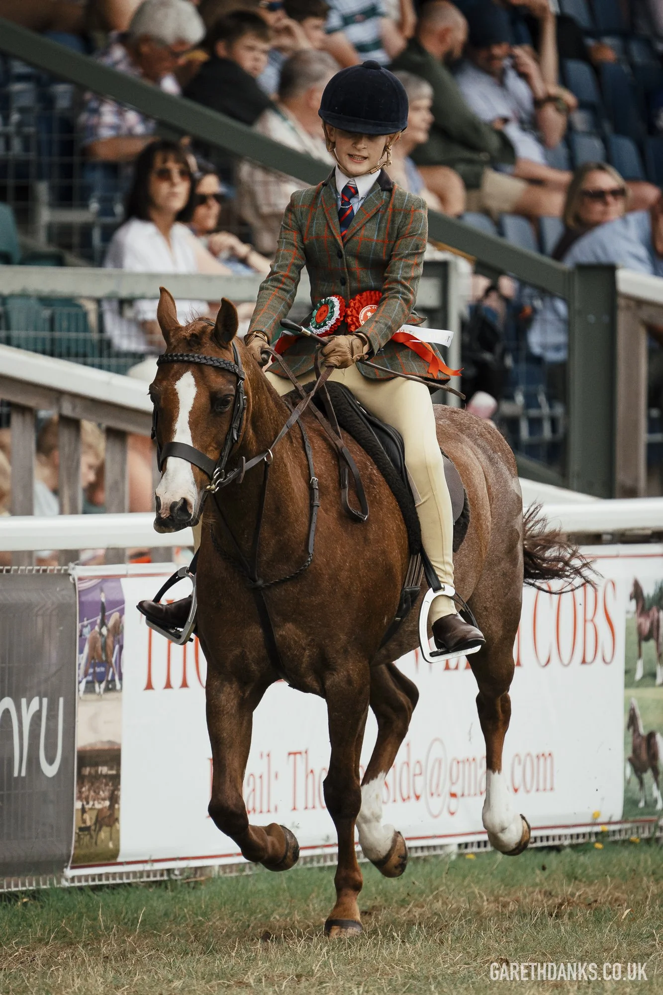 Royal Welsh Show 2026 photography _A7_7249.jpg