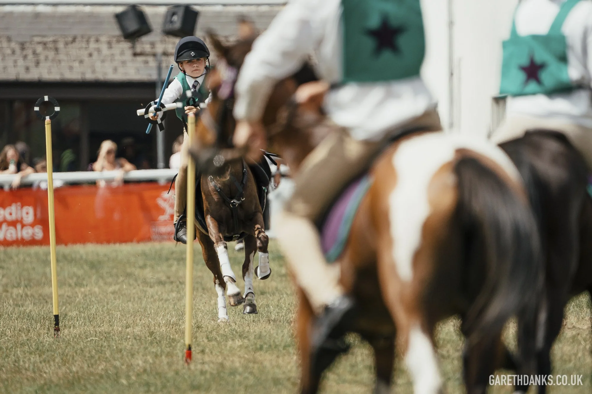 Royal Welsh Show 2026 photography _A7_7014.jpg