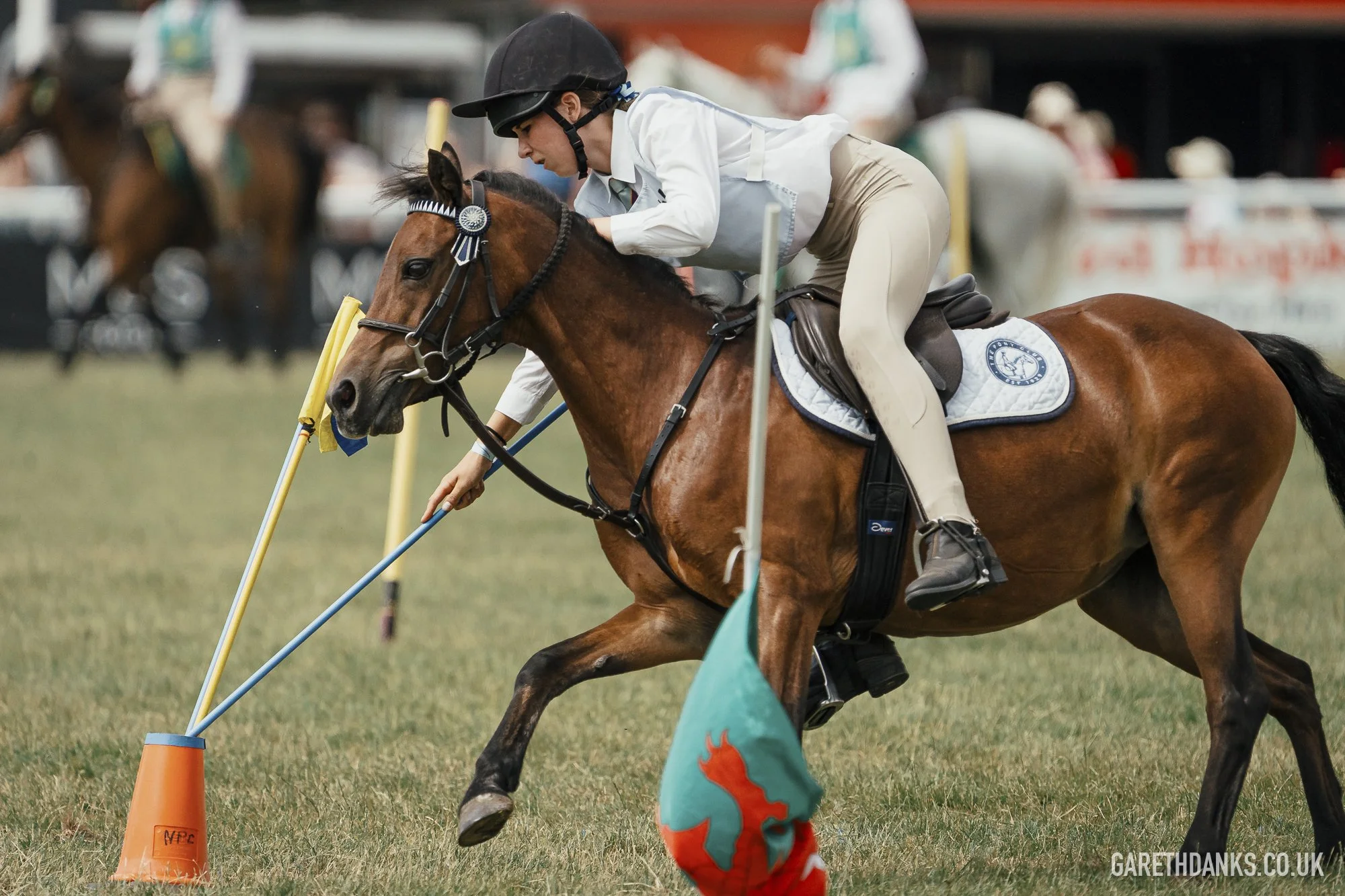 Royal Welsh Show 2026 photography _A7_7117.jpg