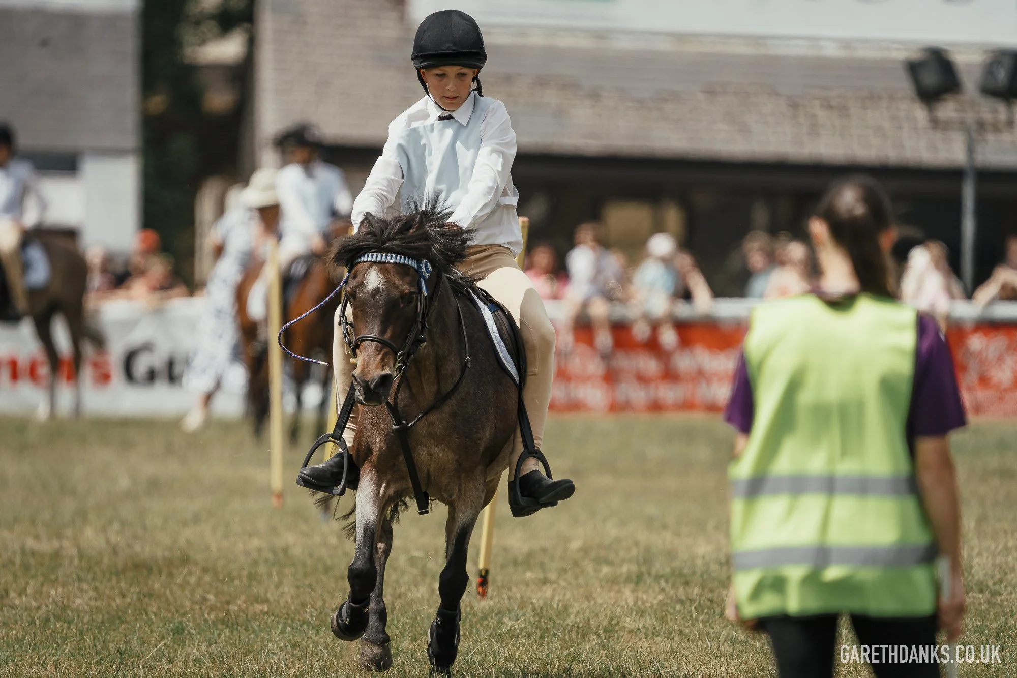 Royal Welsh Show 2026 photography _A7_6854.jpg