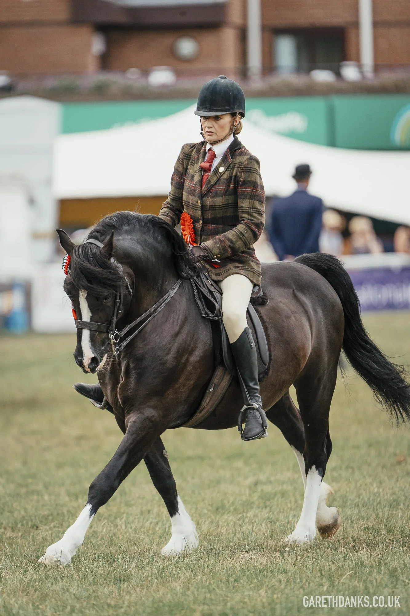 Royal Welsh Show 2026 photography _A7_7171.jpg