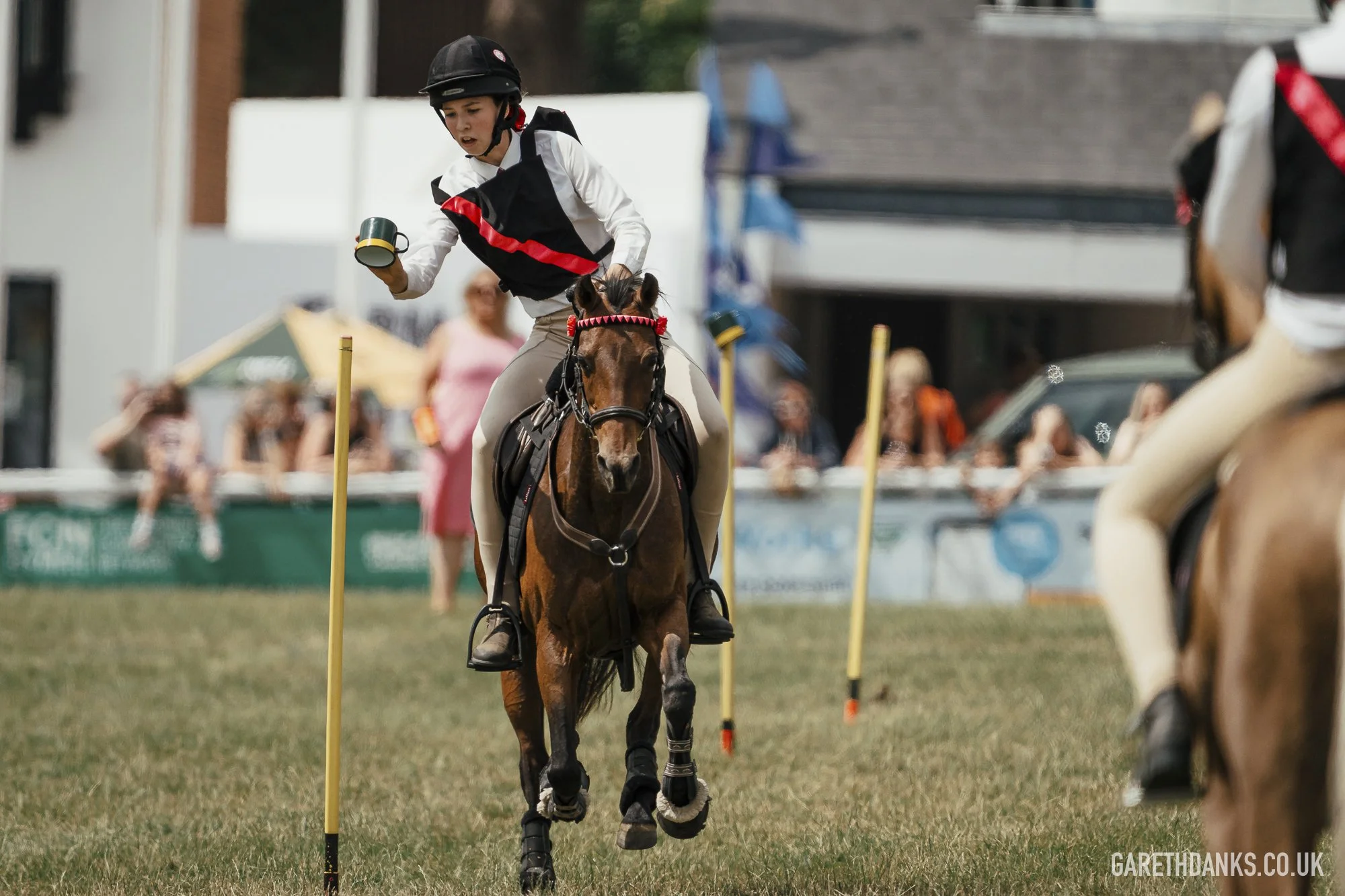 Royal Welsh Show 2026 photography _A7_6947.jpg