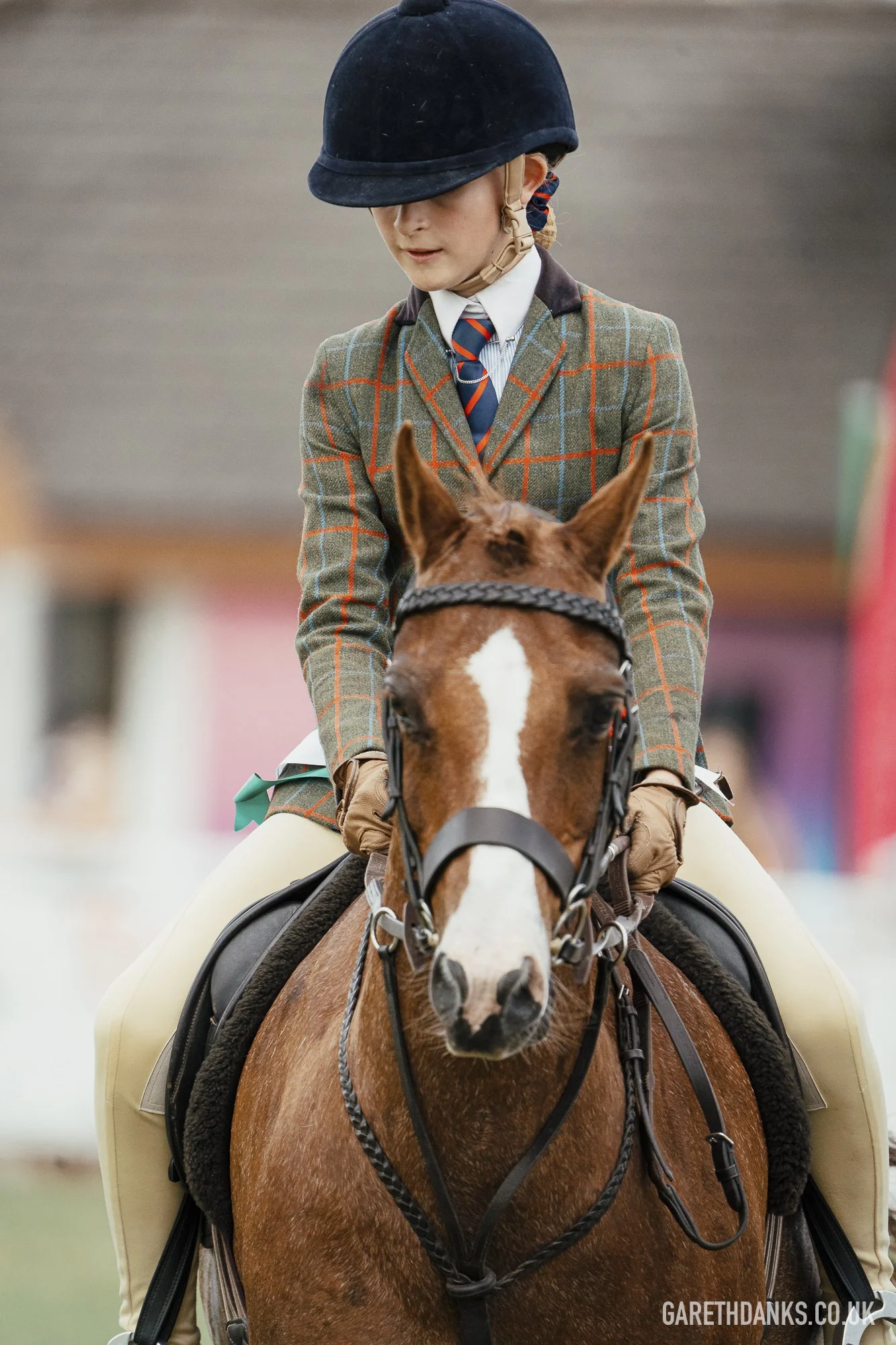 Royal Welsh Show 2026 photography _A7_7244.jpg