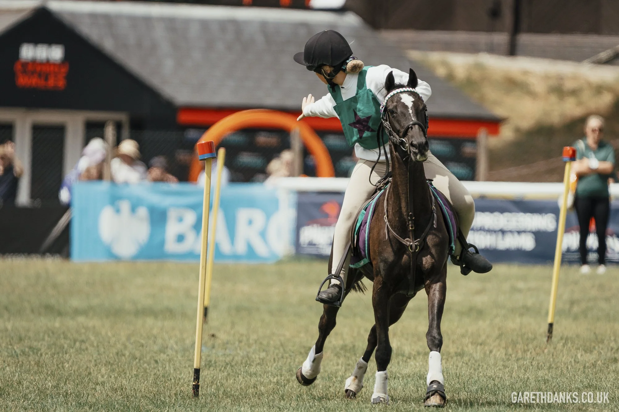 Royal Welsh Show 2026 photography _A7_6952.jpg