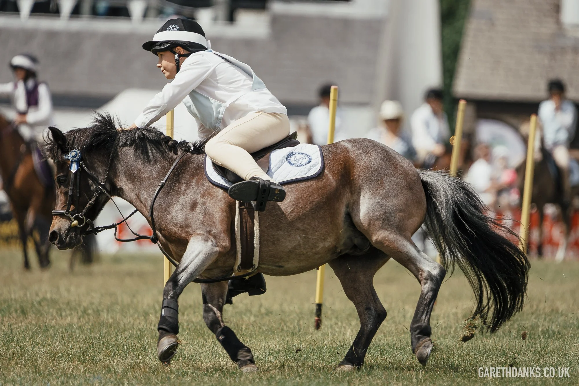 Royal Welsh Show 2026 photography _A7_6845.jpg