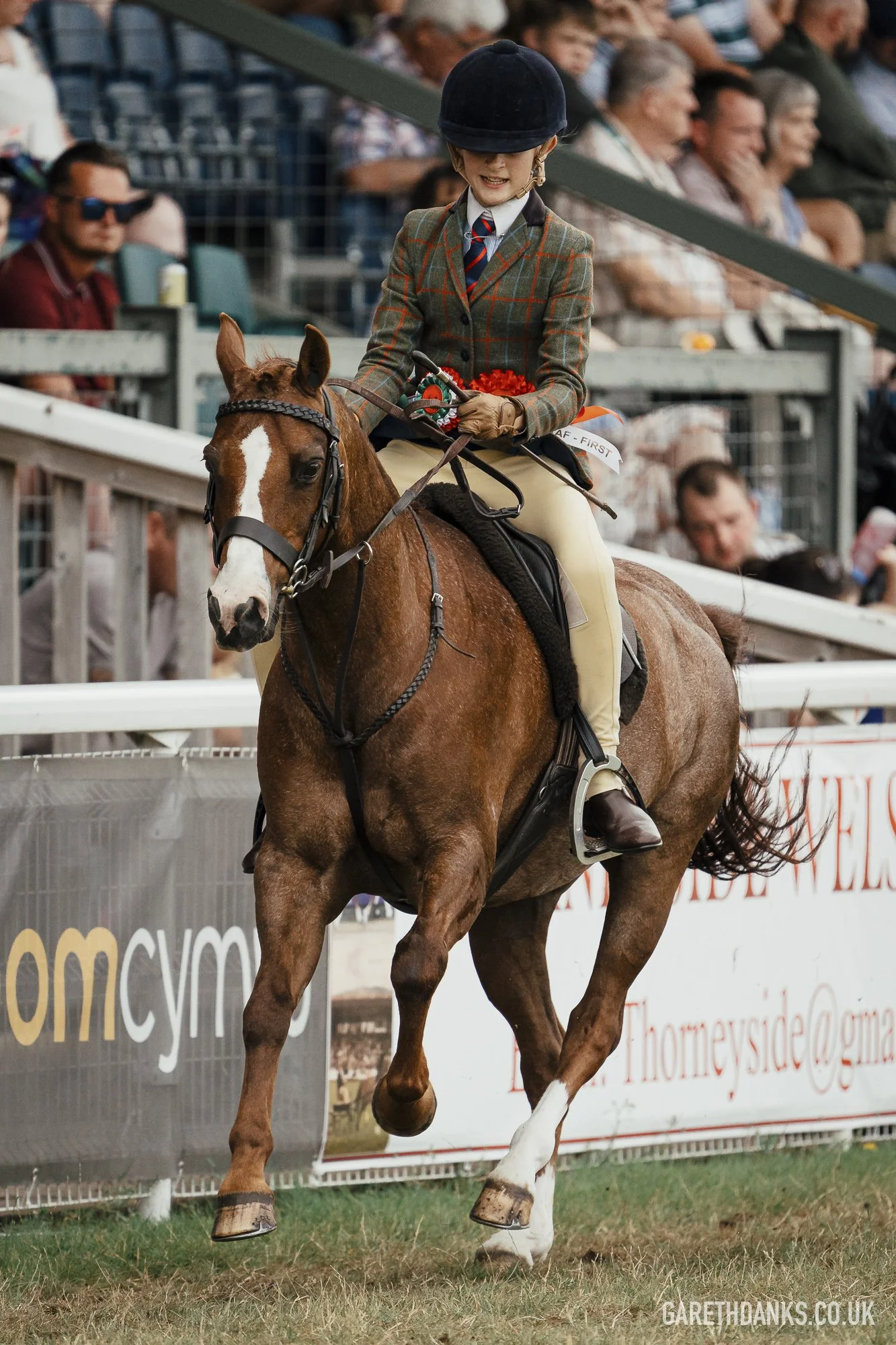 Royal Welsh Show 2026 photography _A7_7250.jpg