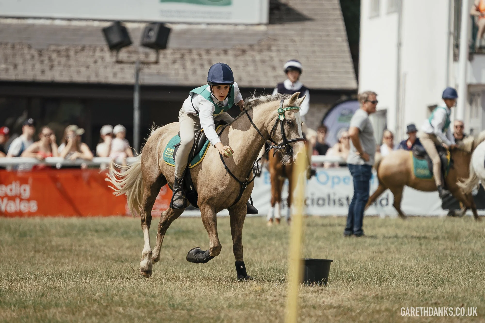 Royal Welsh Show 2026 photography _A7_6884.jpg