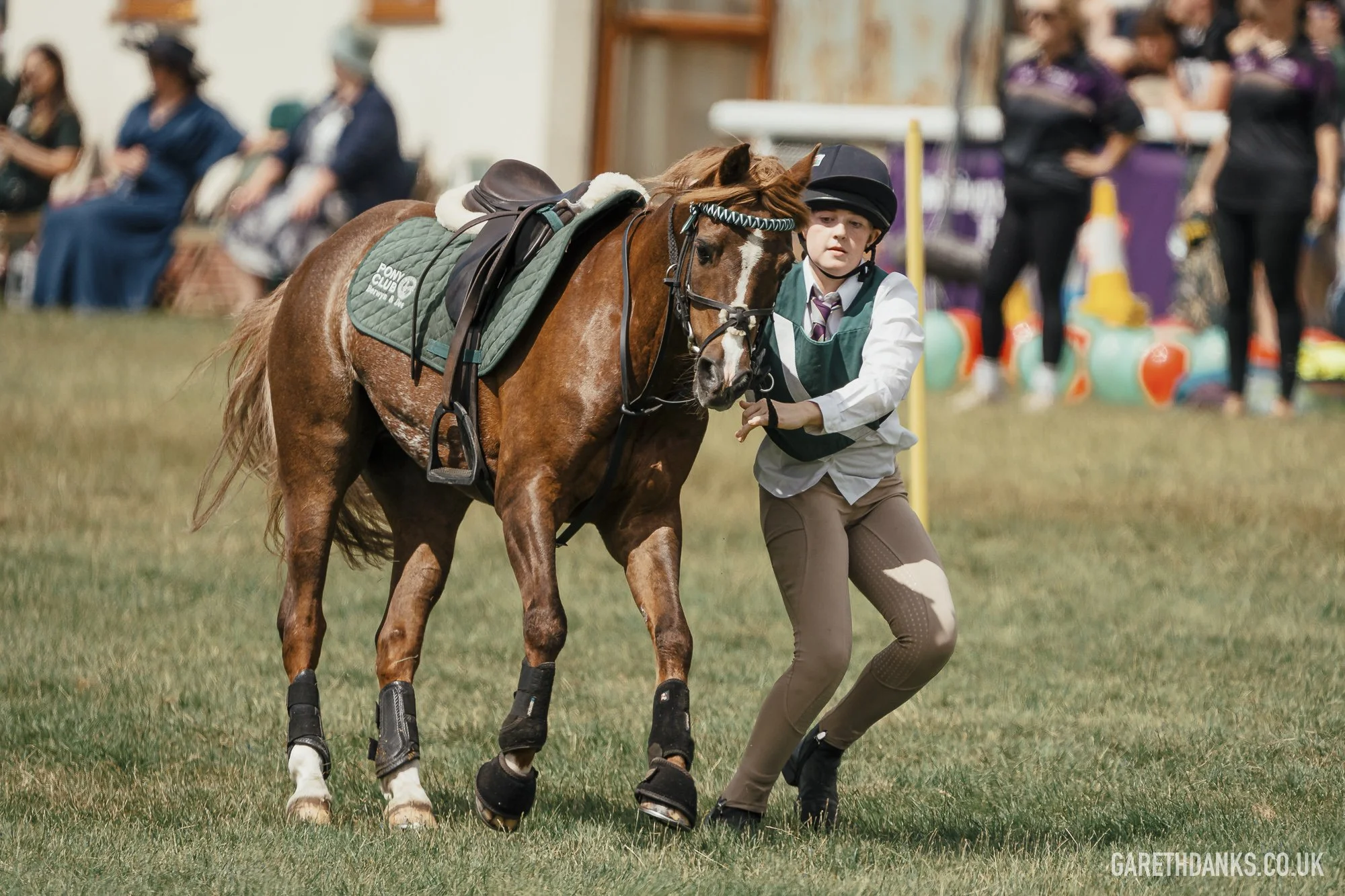 Royal Welsh Show 2026 photography _A7_6903.jpg
