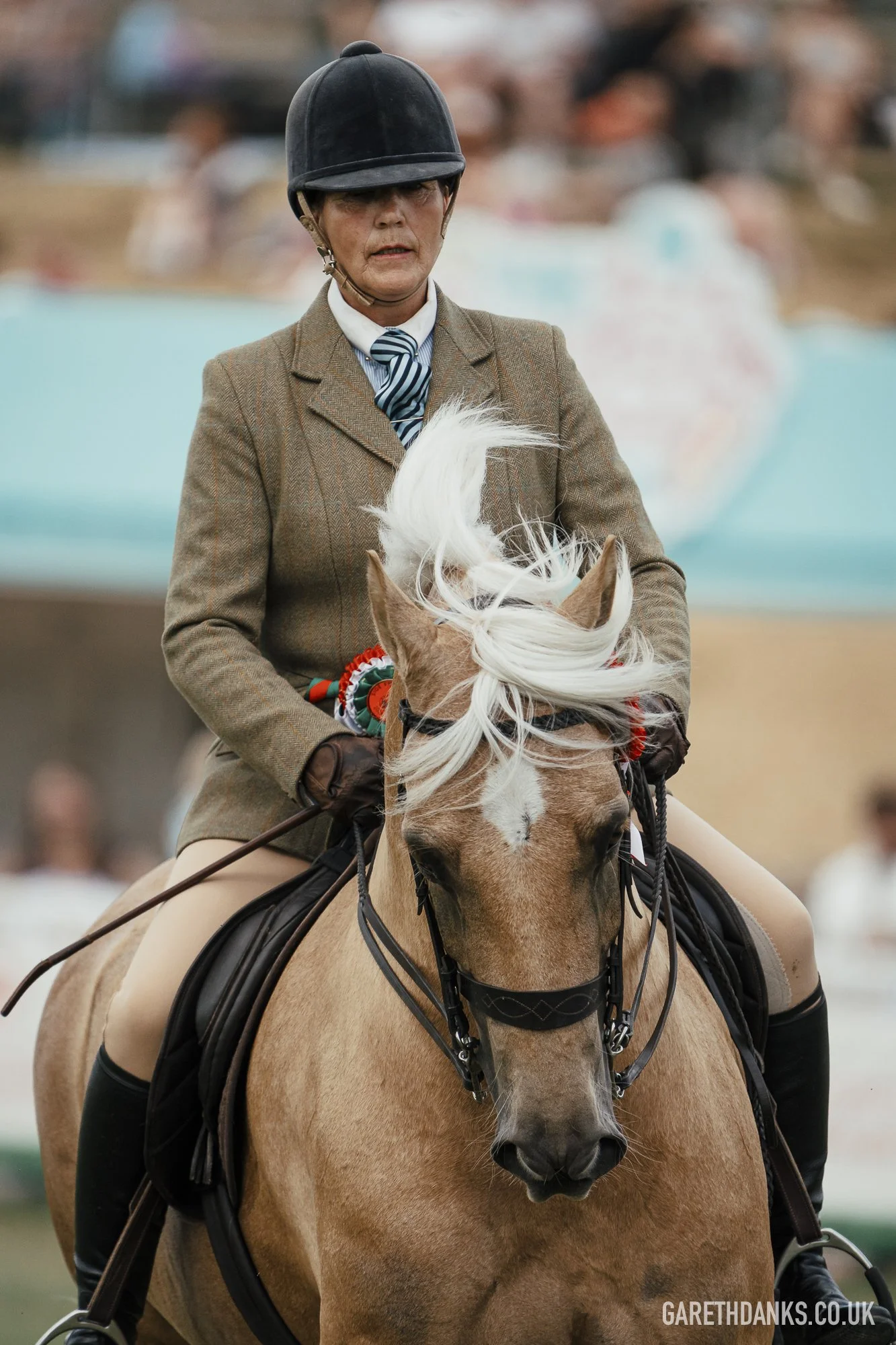 Royal Welsh Show 2026 photography _A7_7209.jpg