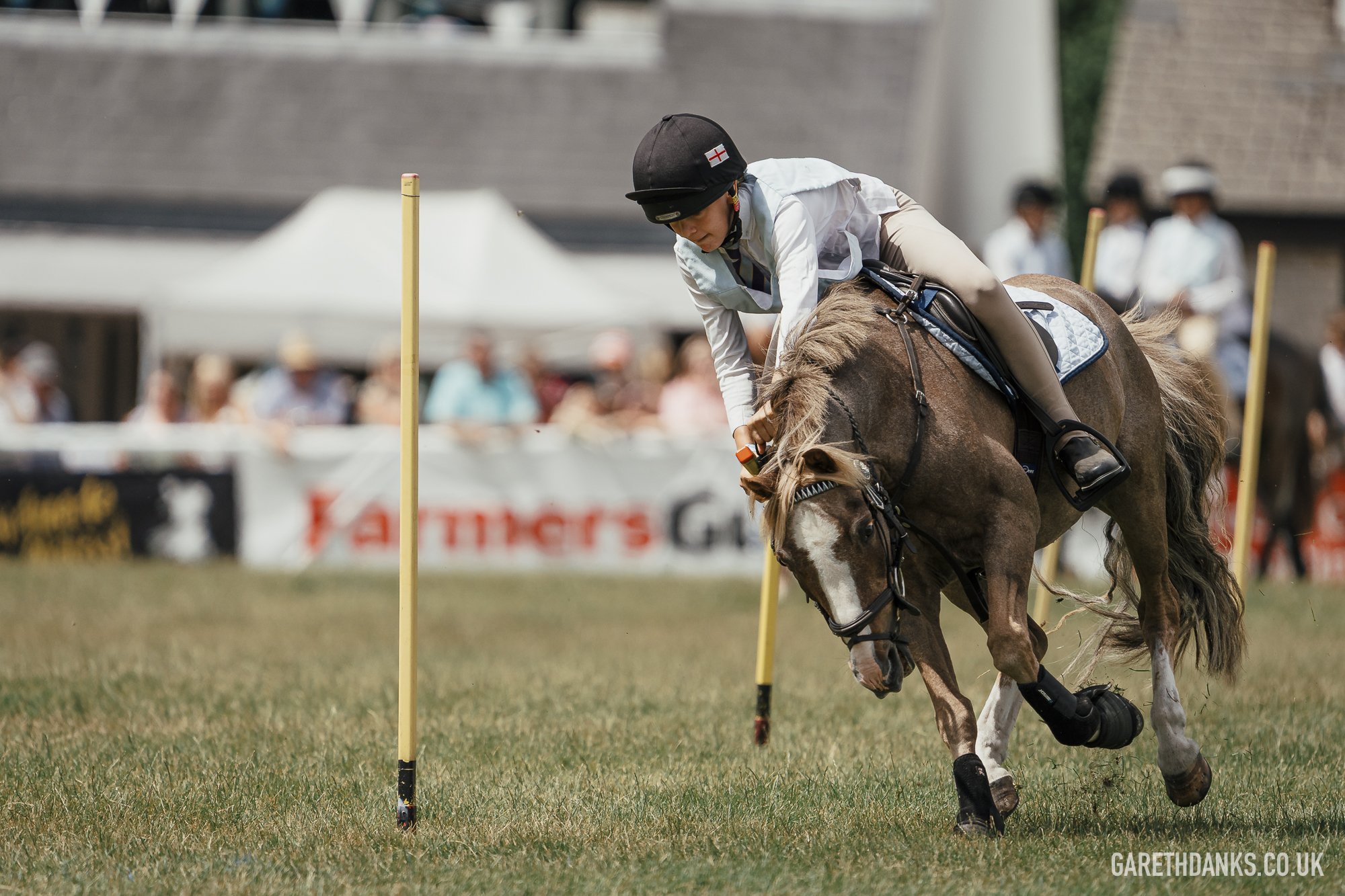 Royal Welsh Show 2026 photography _A7_6811.jpg