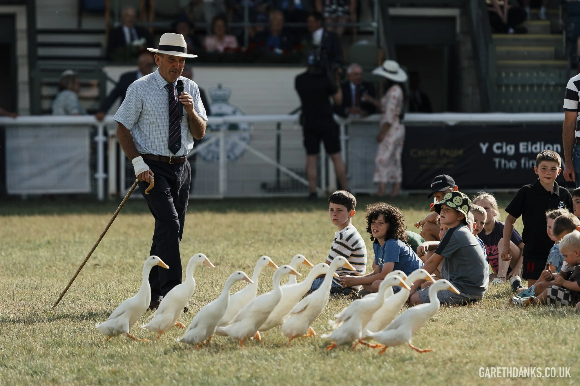 Royal Welsh Show 2026 photography _A7_7311.jpg