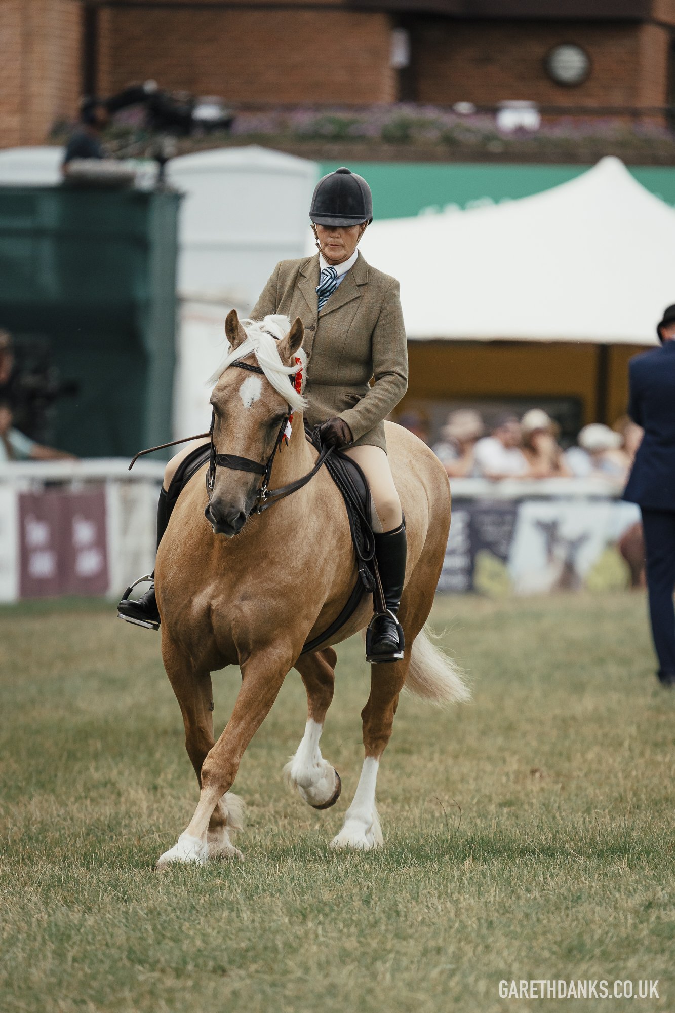Royal Welsh Show 2026 photography _A7_7199.jpg