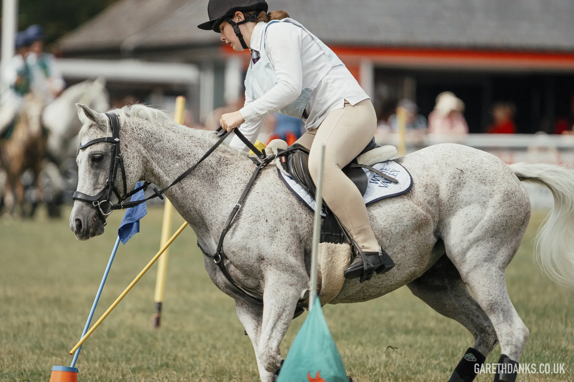 Royal Welsh Show 2026 photography _A7_7114.jpg