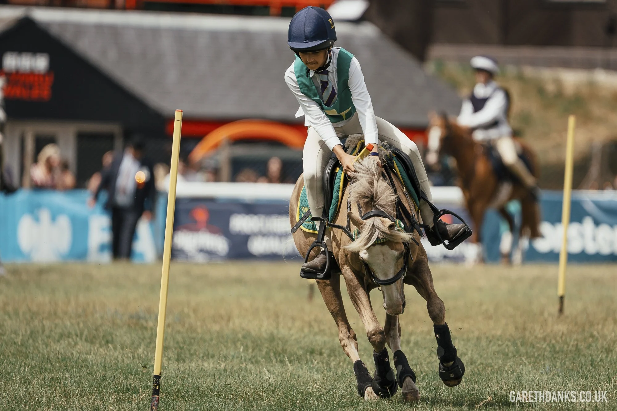 Royal Welsh Show 2026 photography _A7_6821.jpg