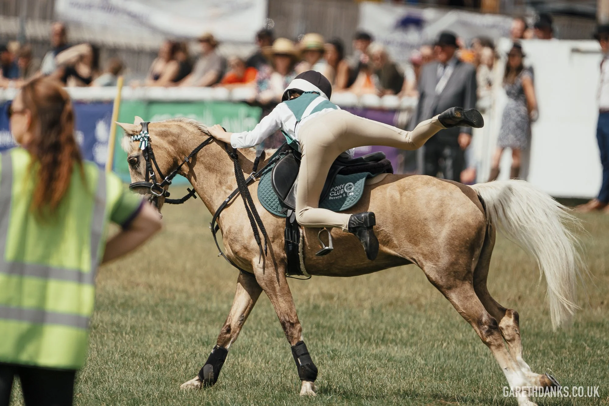 Royal Welsh Show 2026 photography _A7_6935.jpg