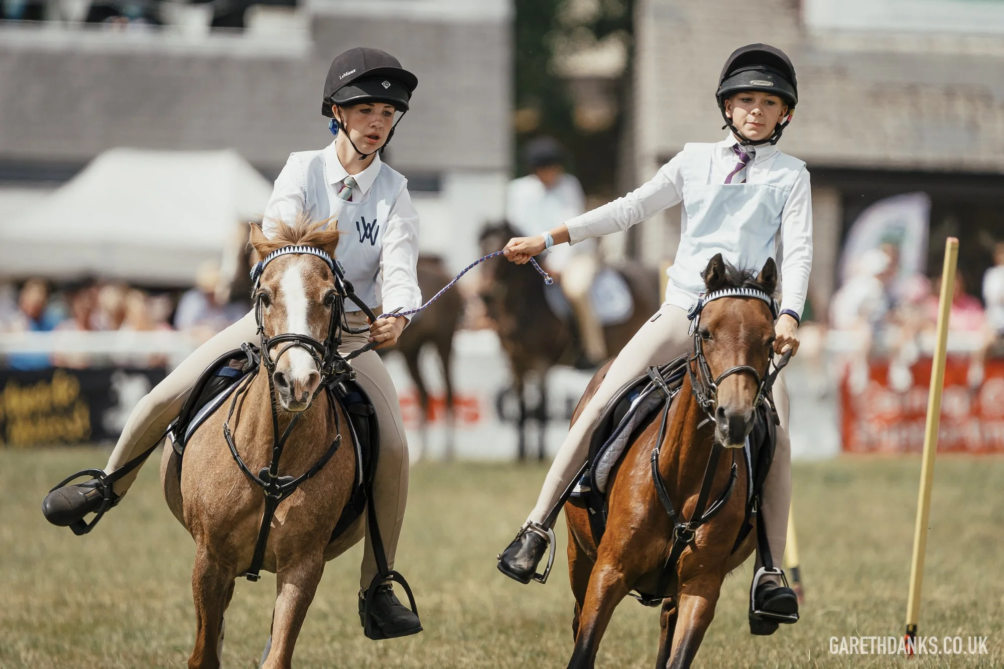 Royal Welsh Show 2026 photography _A7_6866.jpg