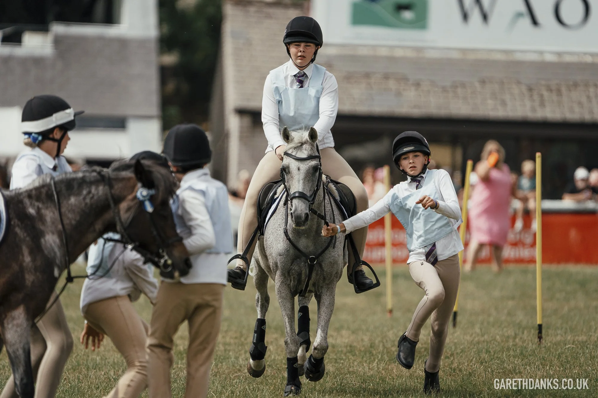 Royal Welsh Show 2026 photography _A7_7152.jpg