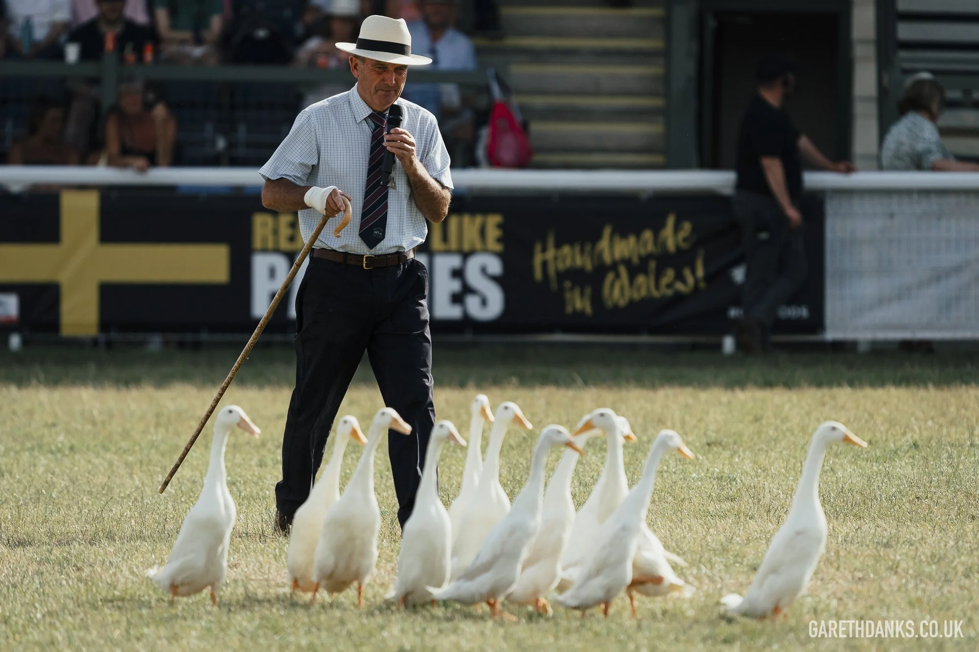 Royal Welsh Show 2026 photography _A7_7304.jpg
