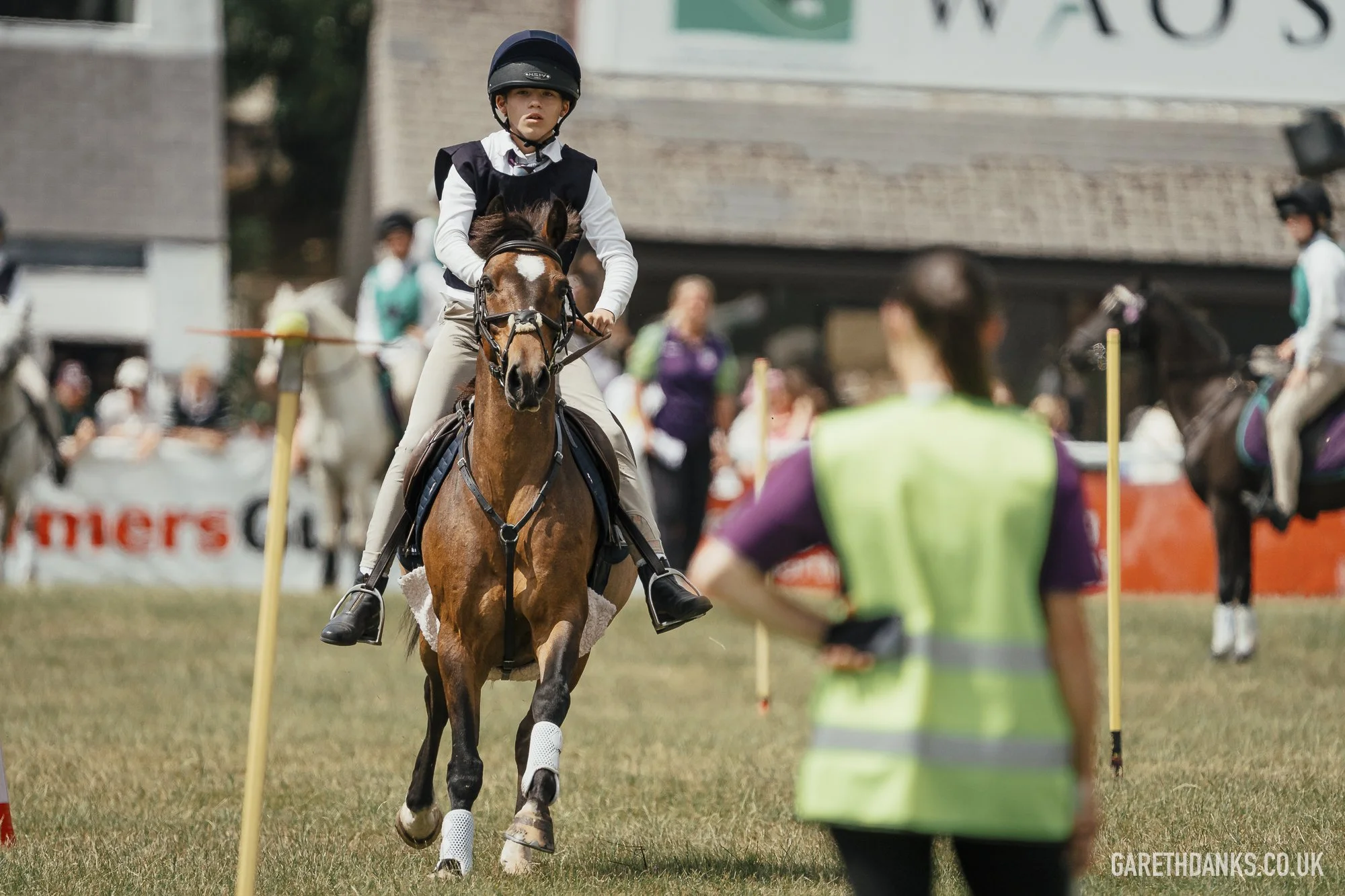Royal Welsh Show 2026 photography _A7_6969.jpg