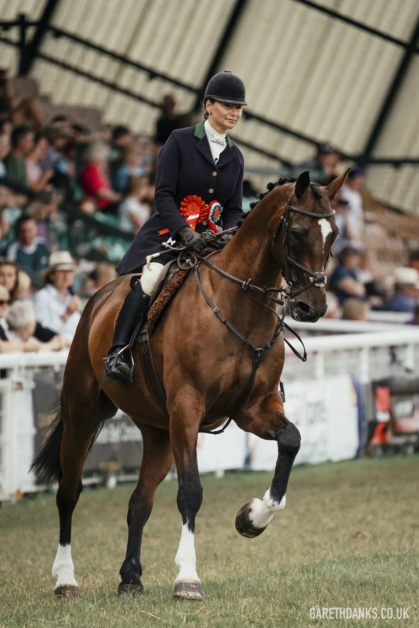 Royal Welsh Show 2026 photography _A7_7224.jpg