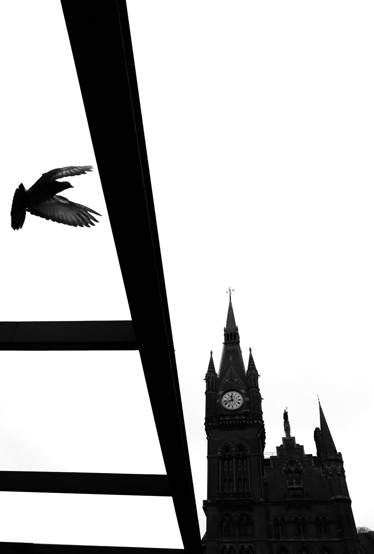 Black and white photo of a Gothic style clock tower with a pointed spire and cross on top, viewed through a glass ceiling with a metal frame, and a flying bird in the foreground.