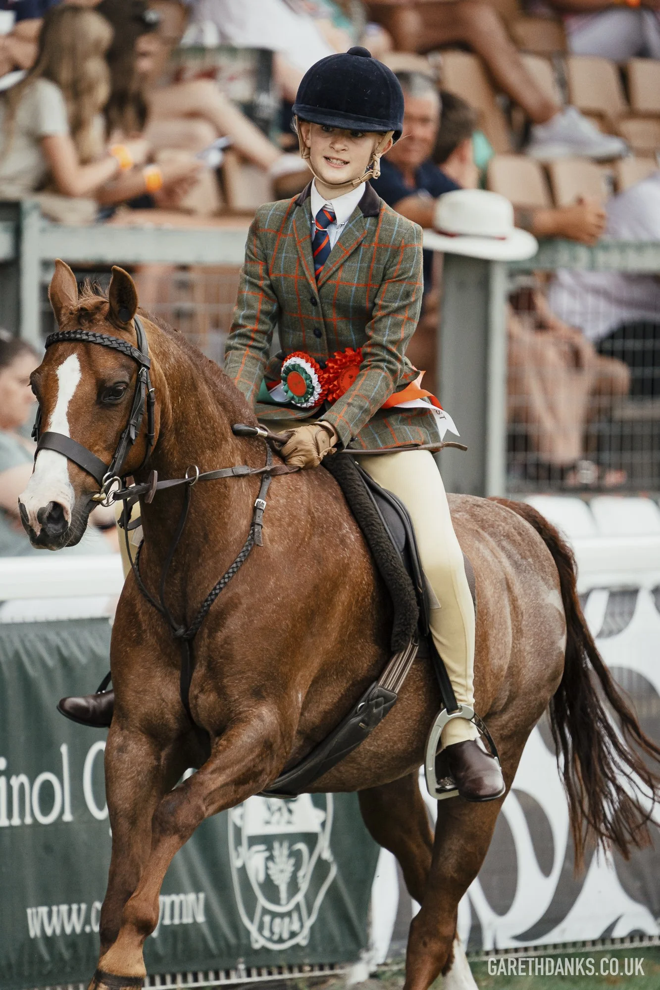 Royal Welsh Show 2026 photography _A7_7252.jpg