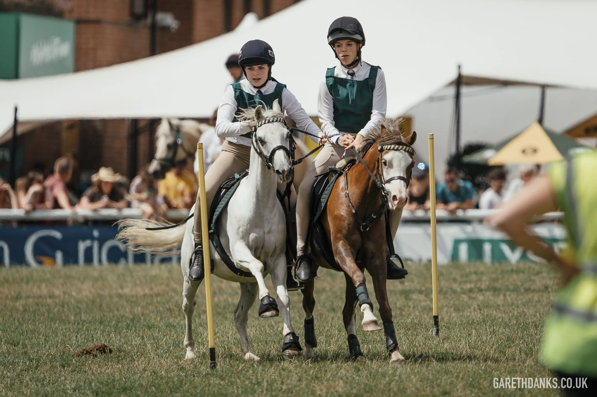 Royal Welsh Show 2026 photography _A7_6858.jpg