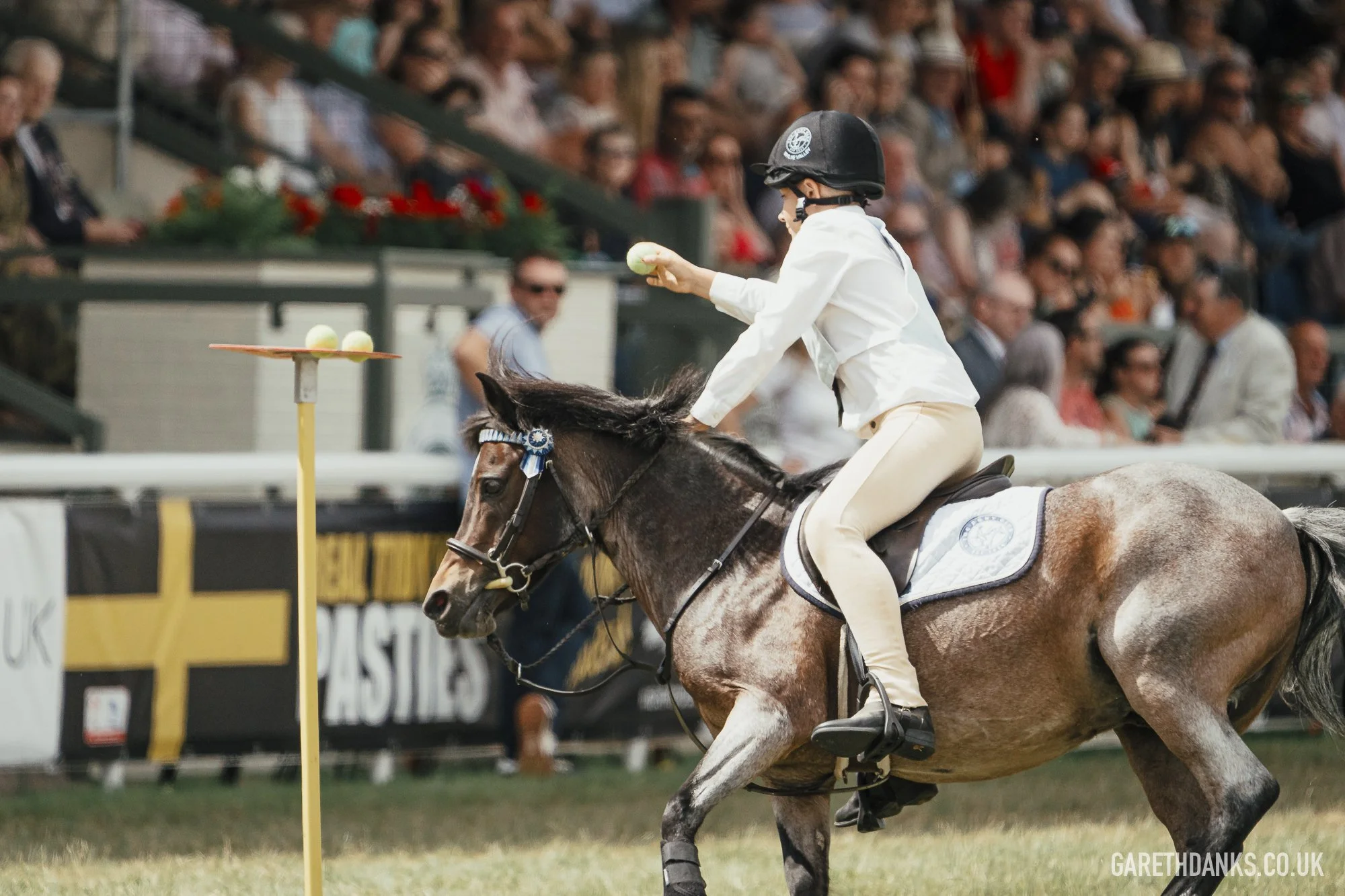 Royal Welsh Show 2026 photography _A7_6985.jpg