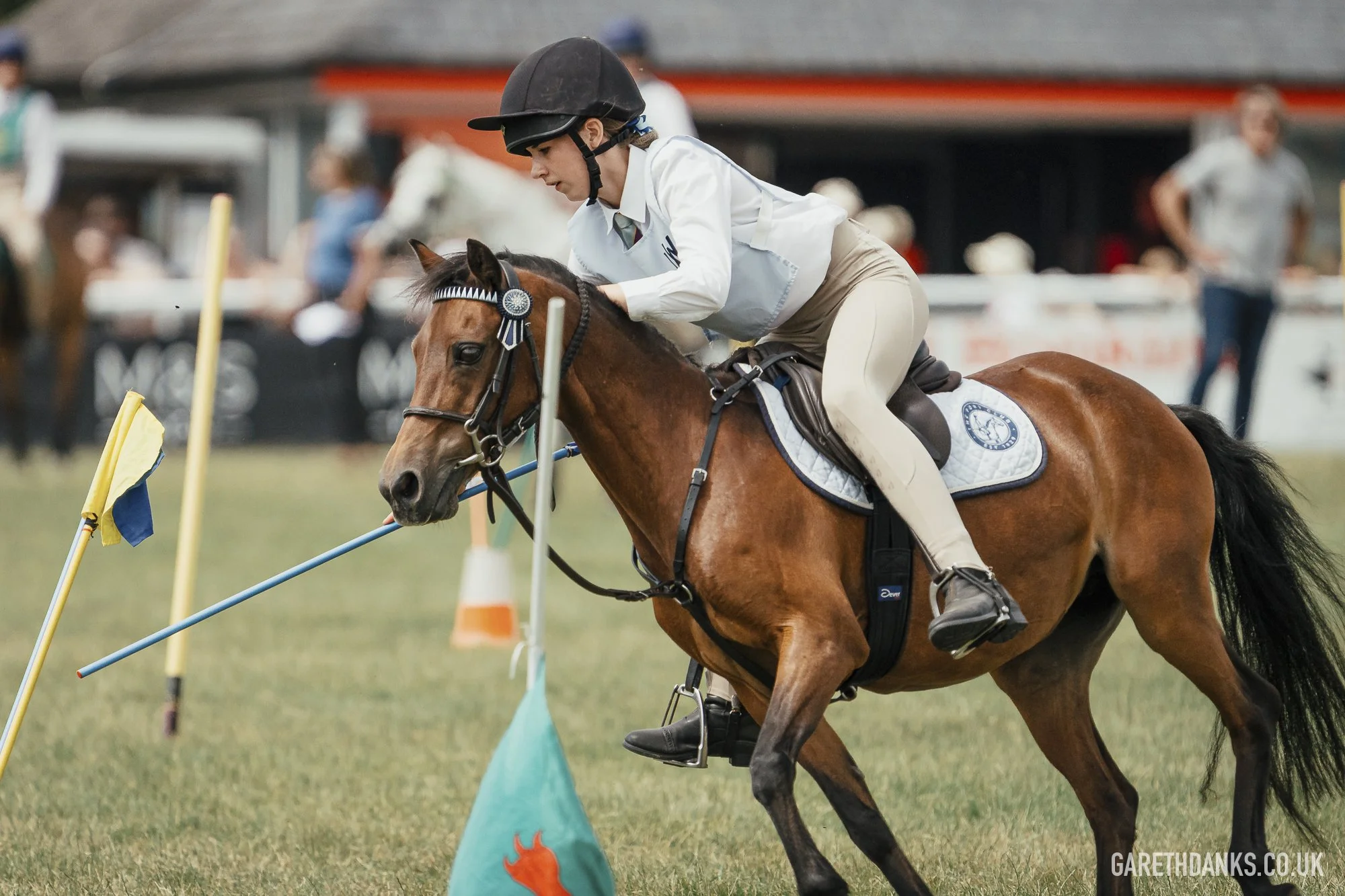 Royal Welsh Show 2026 photography _A7_7116.jpg