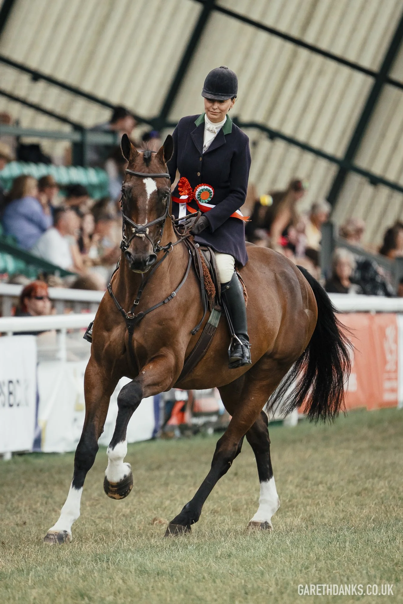 Royal Welsh Show 2026 photography _A7_7218.jpg