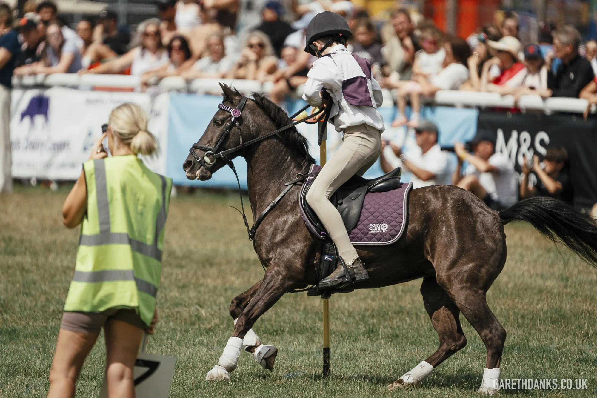 Royal Welsh Show 2026 photography _A7_6983.jpg