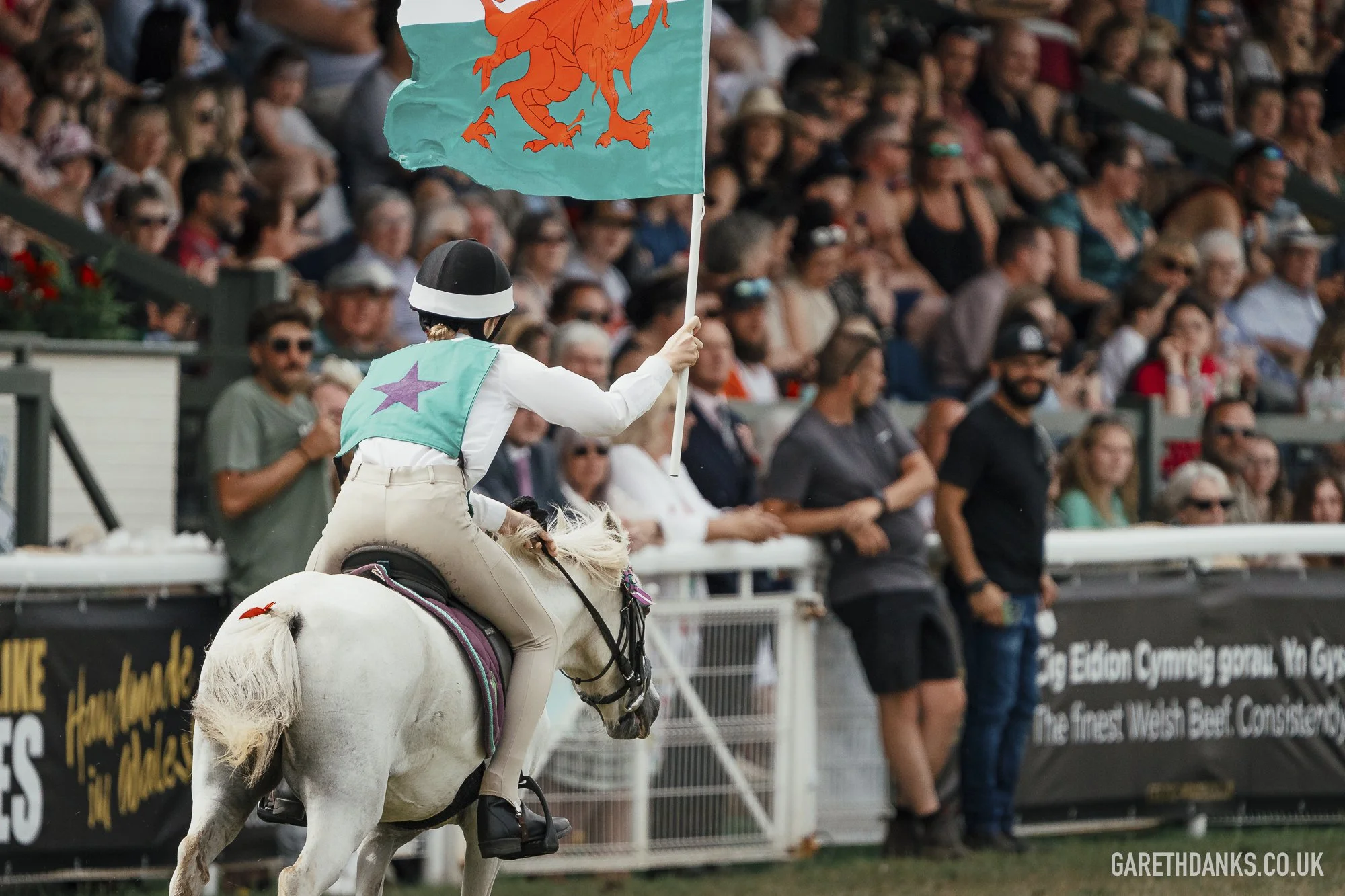 Royal Welsh Show 2026 photography _A7_7128.jpg