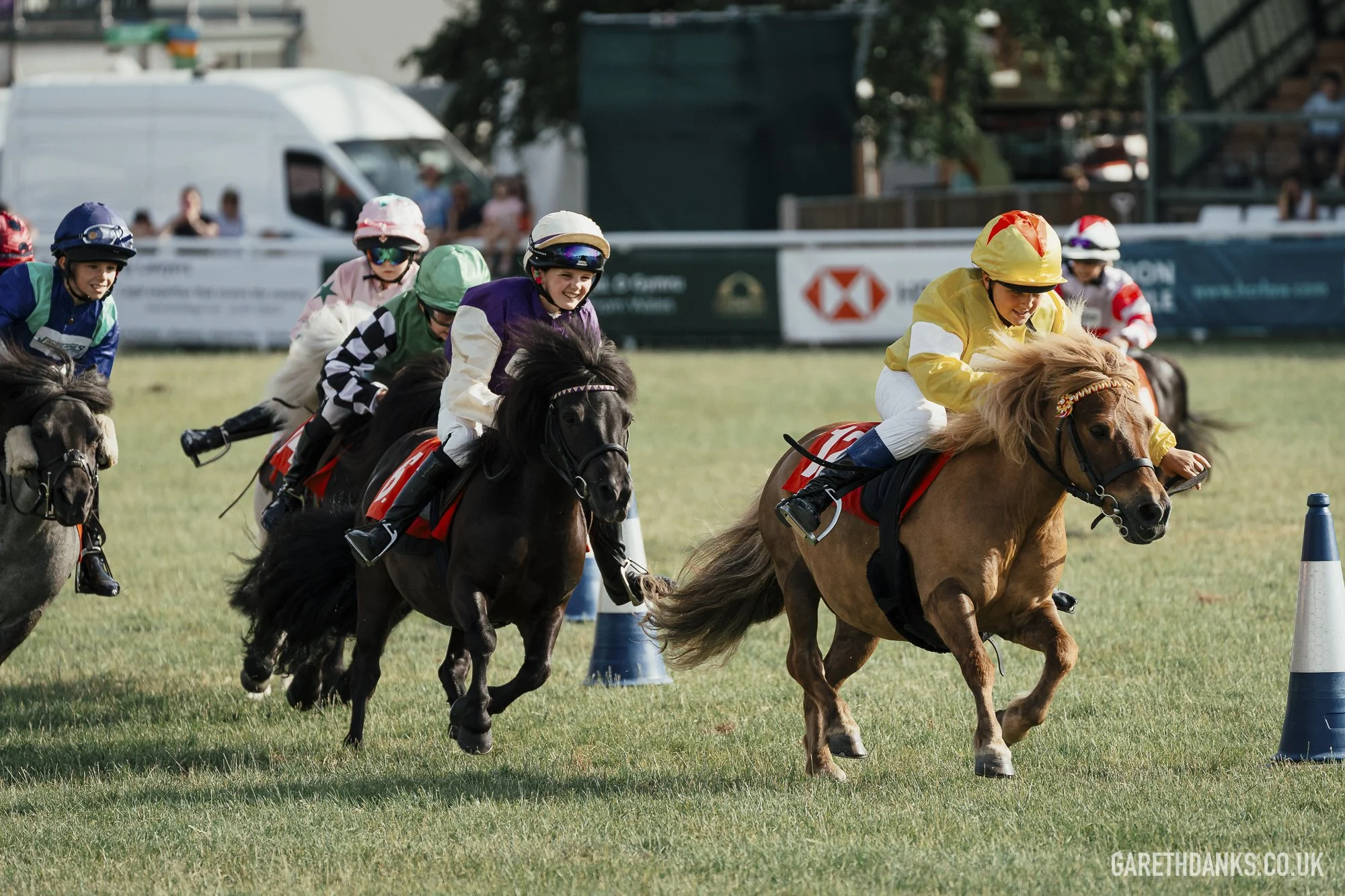 Royal Welsh Show 2026 photography _A7_7329.jpg