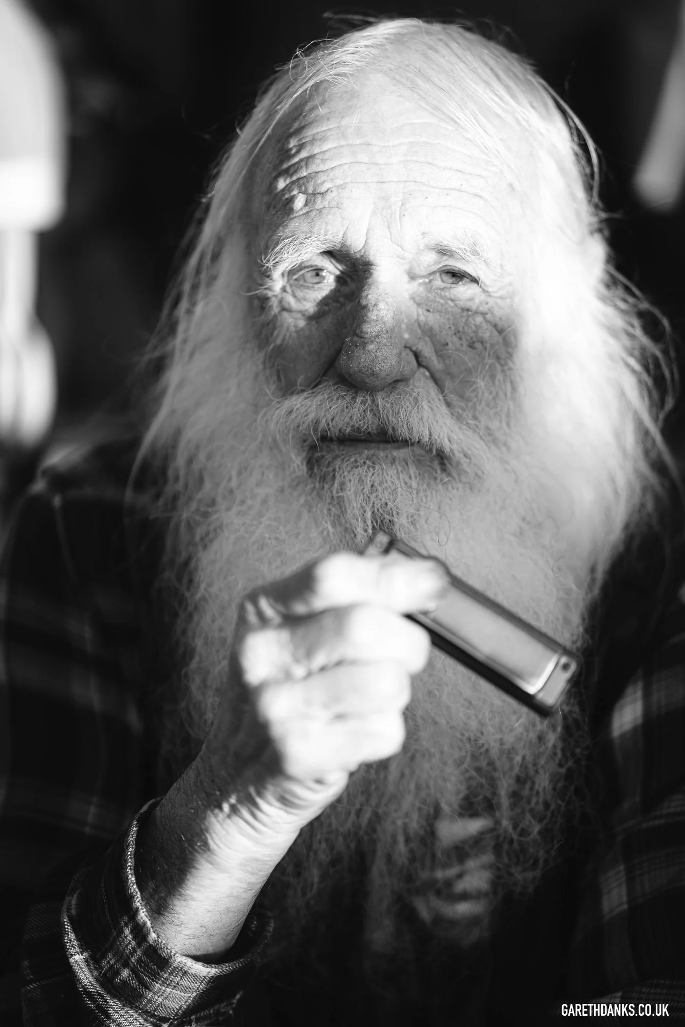 Fishguard folk festival 2026 Gareth Danks Photography _A7_7447.jpg