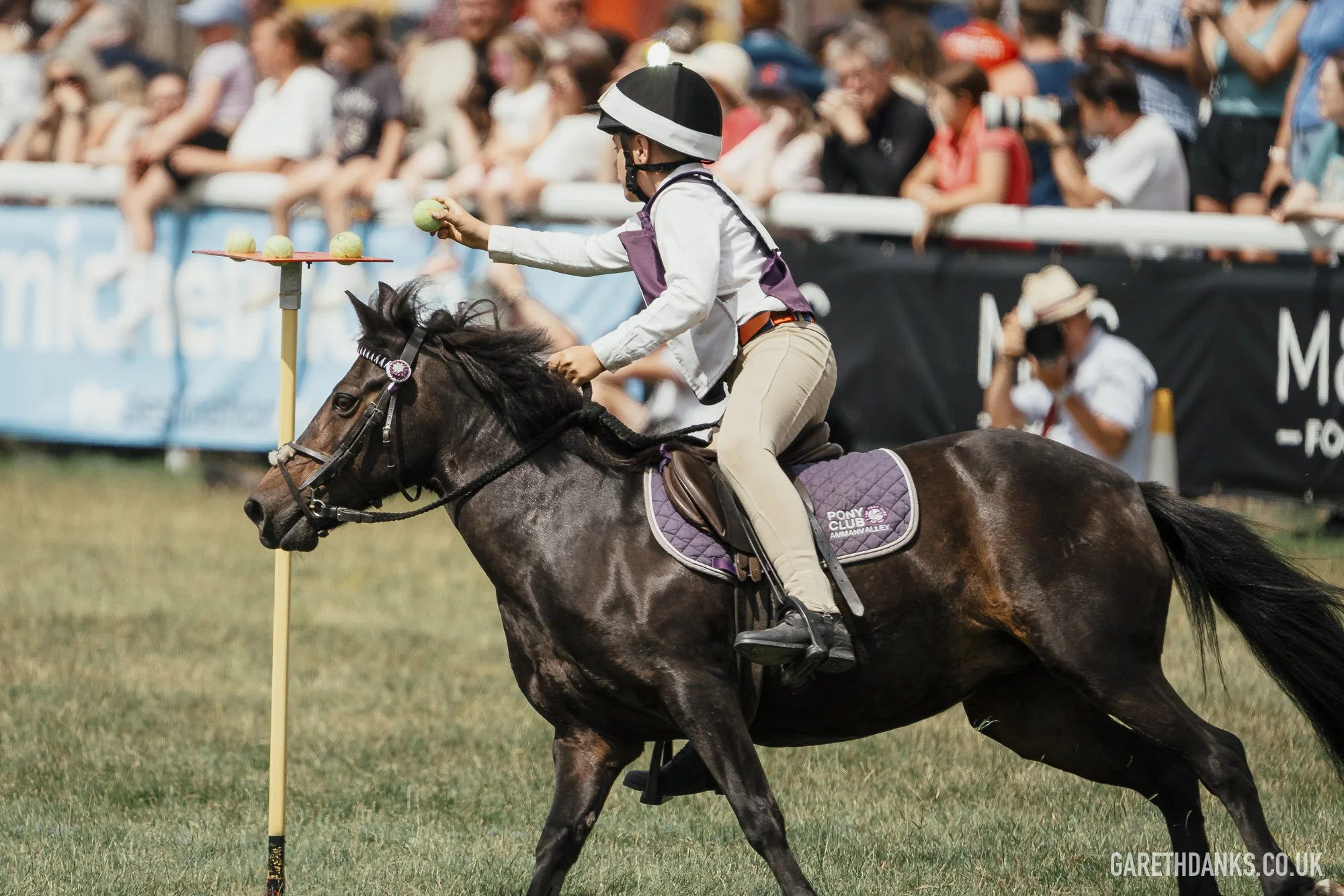 Royal Welsh Show 2026 photography _A7_7003.jpg