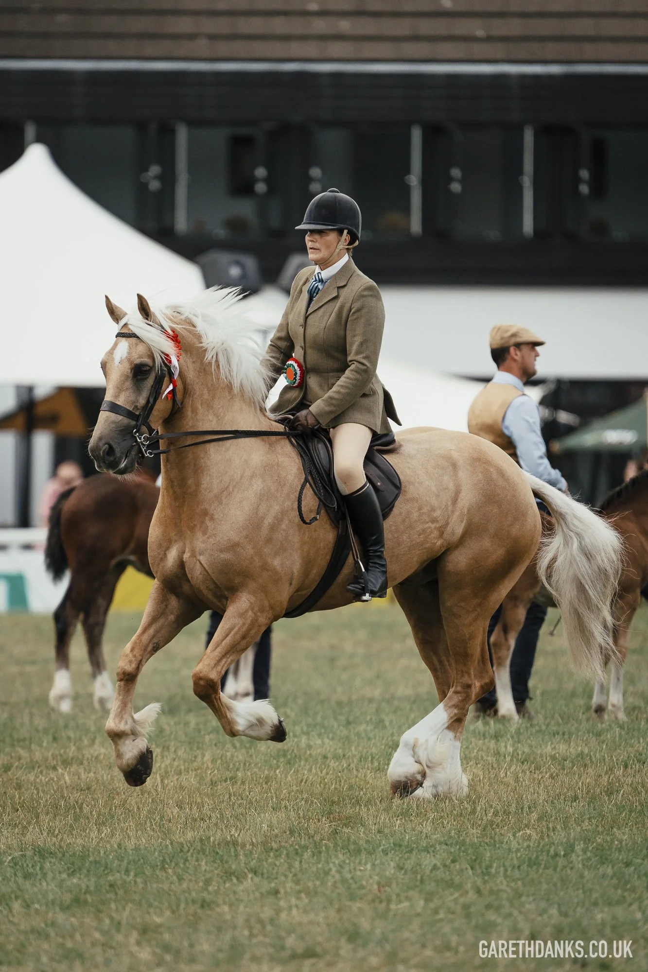 Royal Welsh Show 2026 photography _A7_7198.jpg