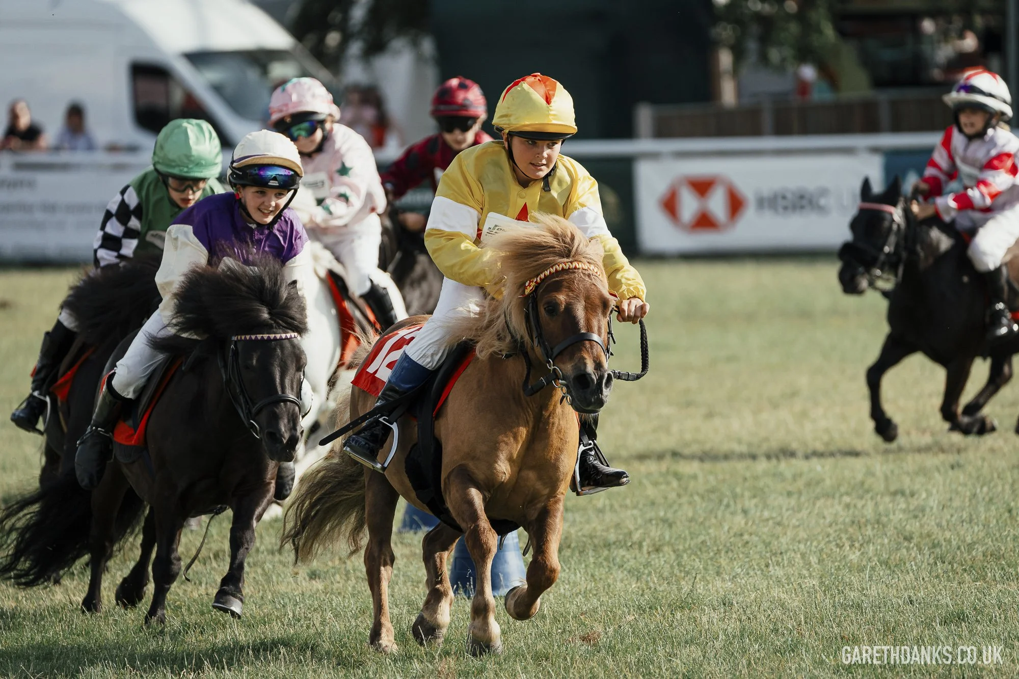 Royal Welsh Show 2026 photography _A7_7333.jpg