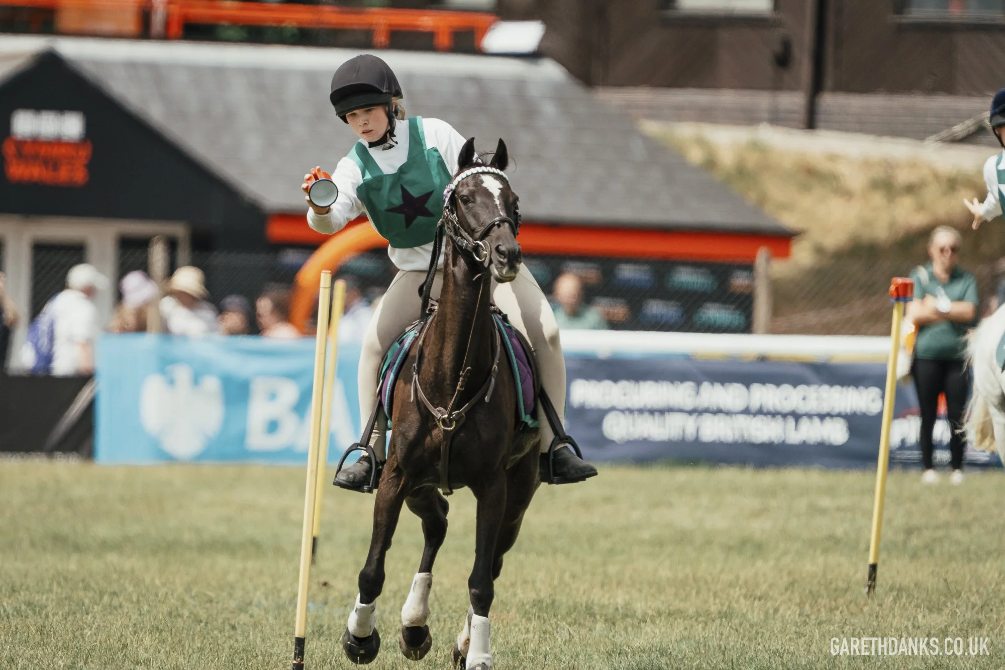 Royal Welsh Show 2026 photography _A7_6950.jpg