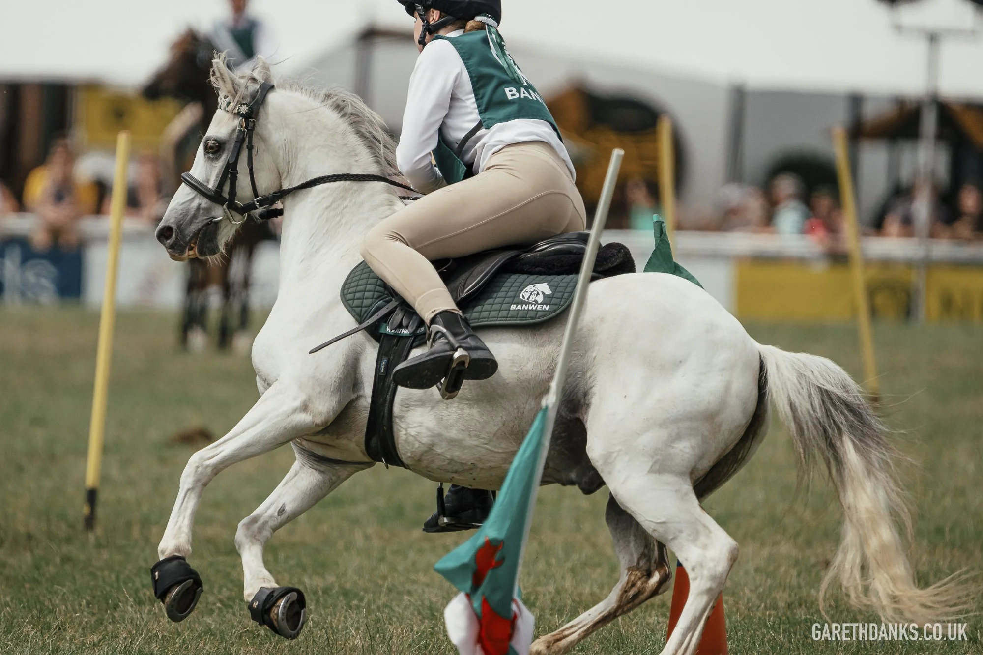 Royal Welsh Show 2026 photography _A7_7110.jpg