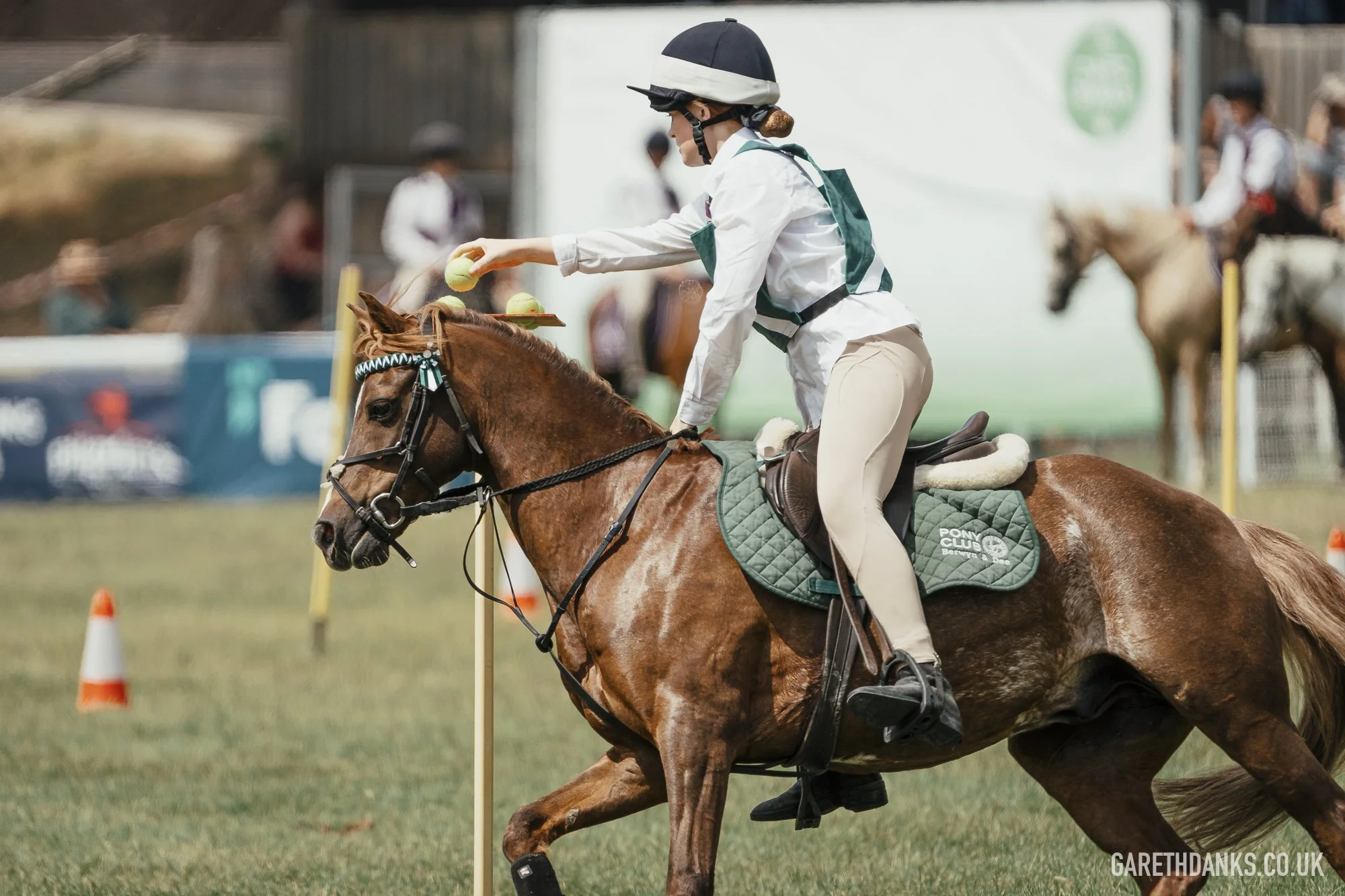 Royal Welsh Show 2026 photography _A7_7001.jpg