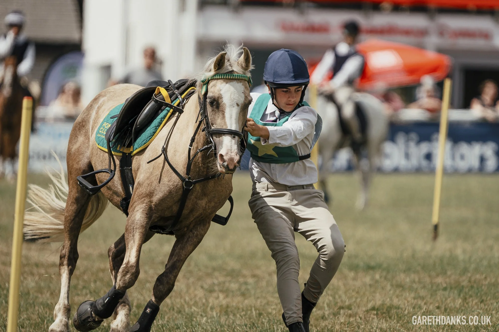 Royal Welsh Show 2026 photography _A7_6896.jpg