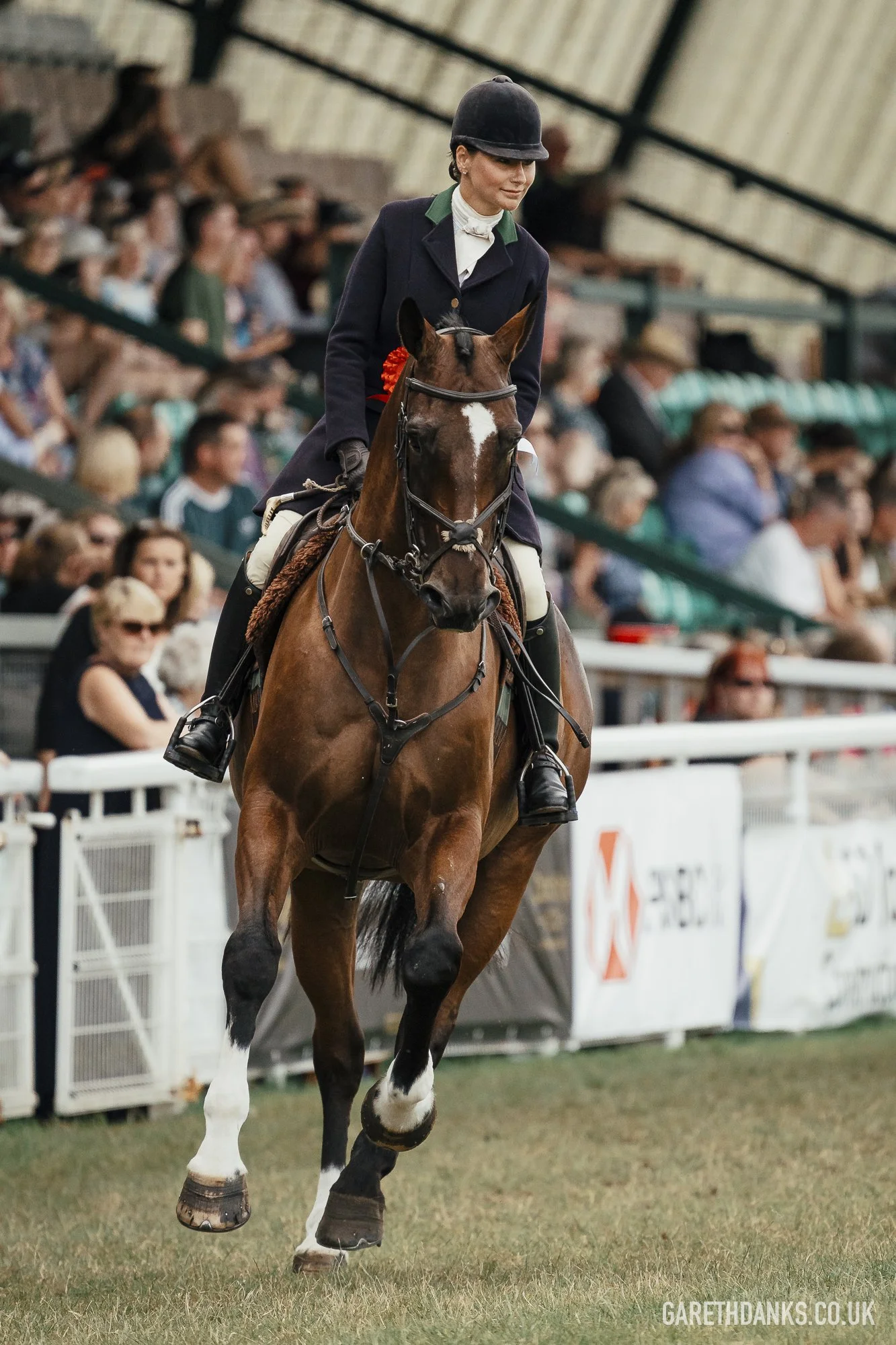 Royal Welsh Show 2026 photography _A7_7220.jpg
