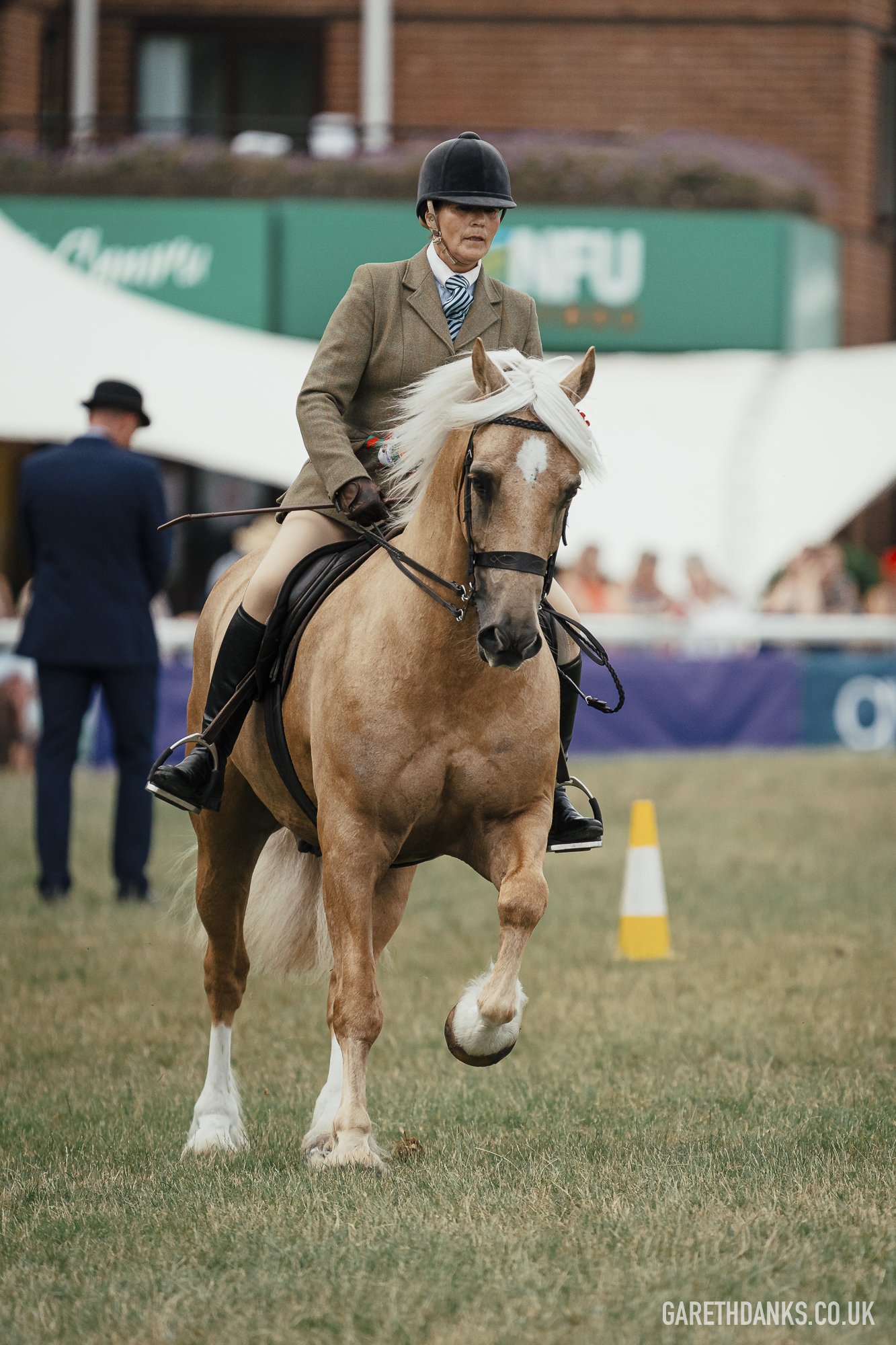 Royal Welsh Show 2026 photography _A7_7201.jpg