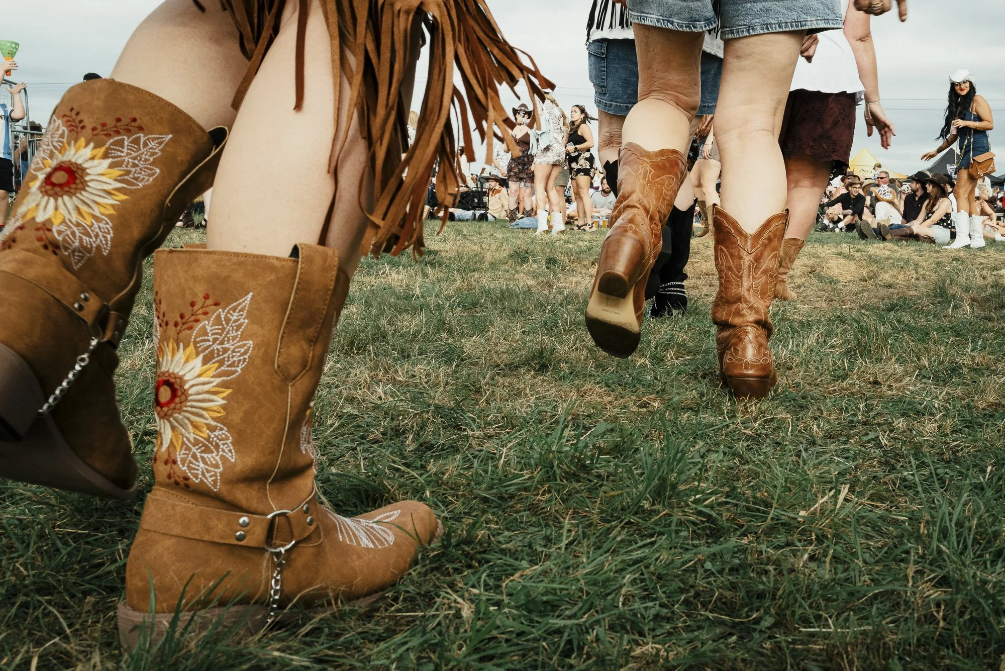 This ain't country festival Gareth Danks Photography L1270159.jpg