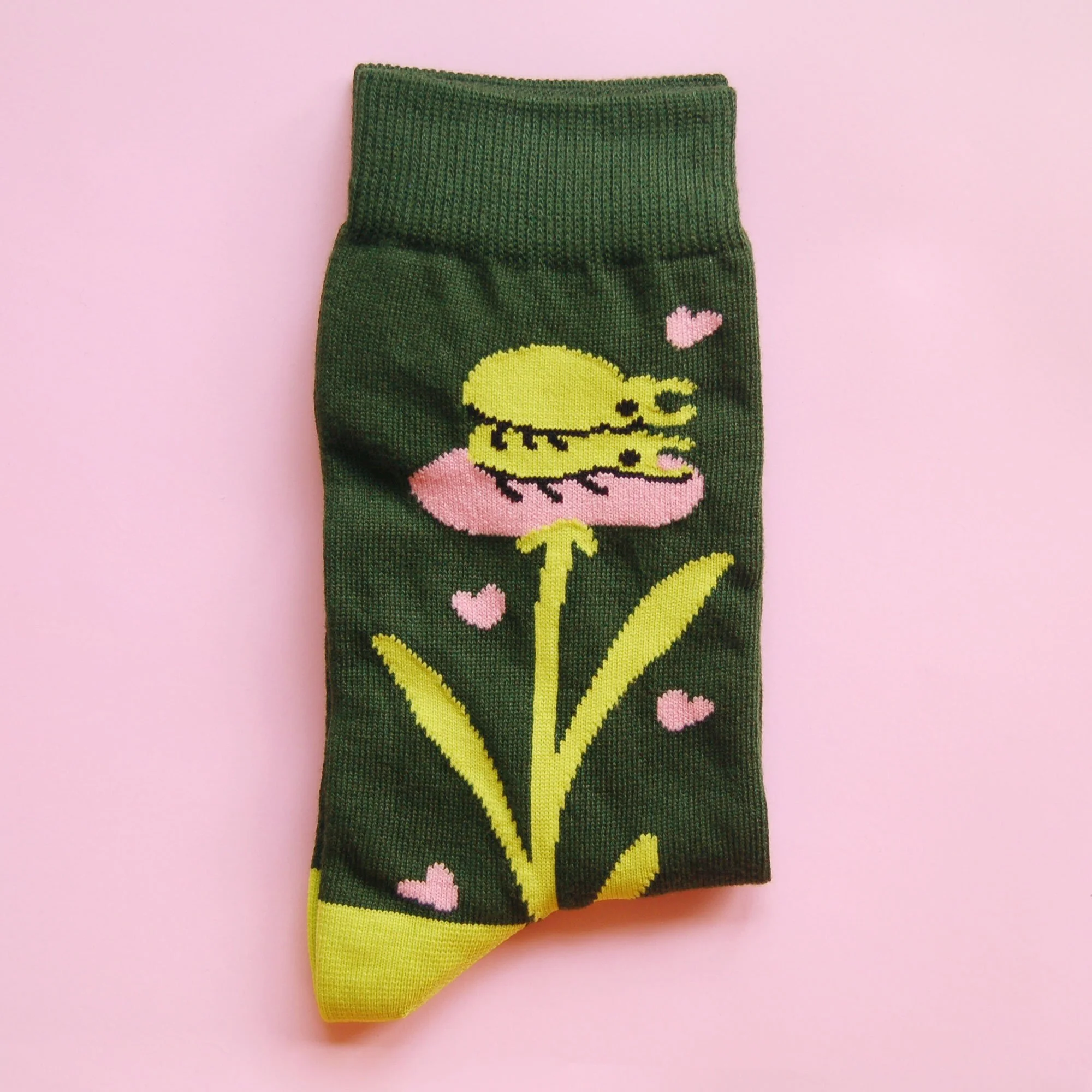 socks-bug-02.jpg